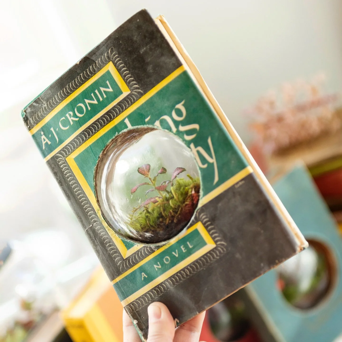 📚🌱If y&rsquo;all have been here a minute you know I&rsquo;m TERRIBLE with surprises, so I&rsquo;ve been sneak peekin&rsquo; these guys a little bit here and there but I&rsquo;ve finally gotten them dialed in to the point where I&rsquo;m comfortable