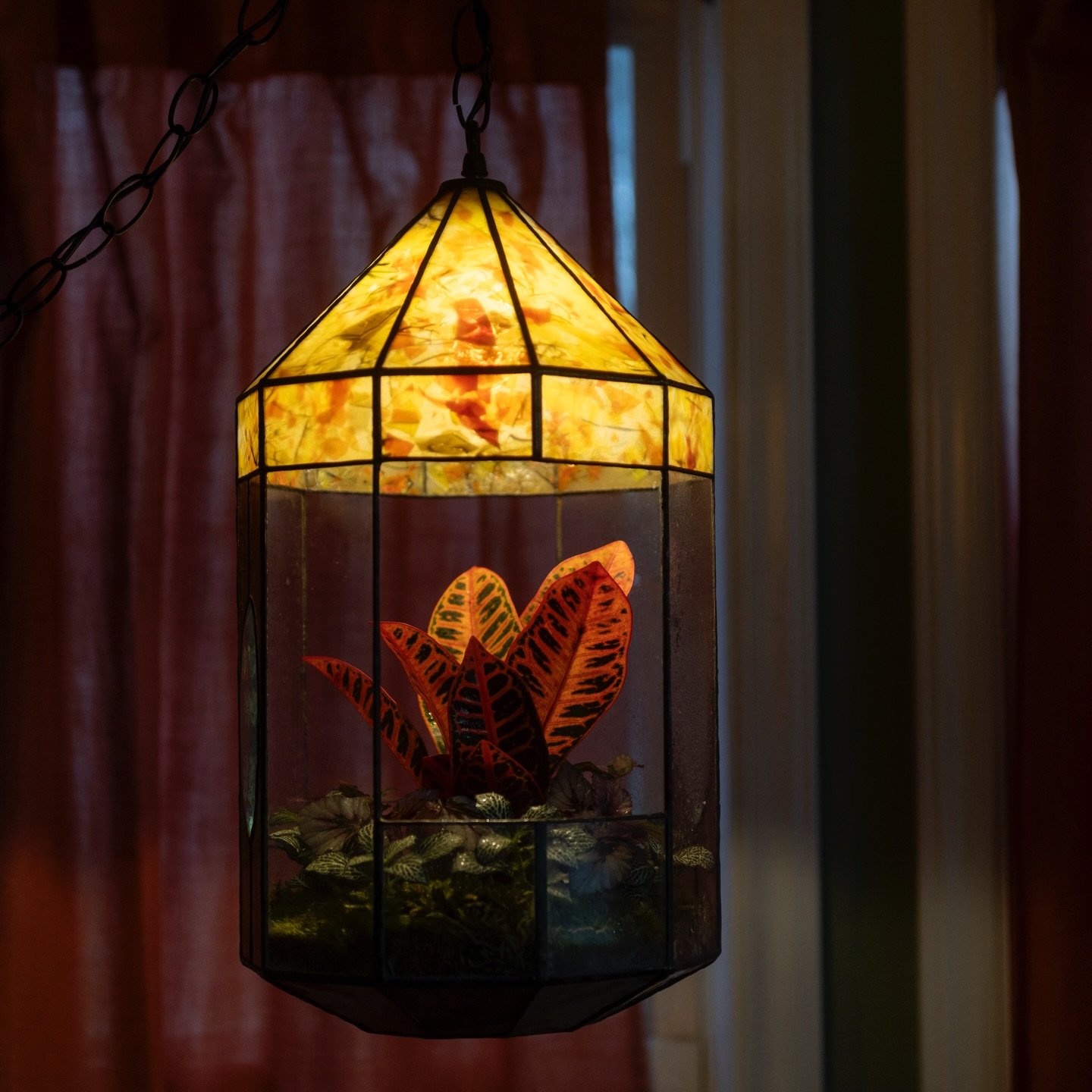 I know I haven&rsquo;t posted enough lately, so to make up for it I&rsquo;ll subject y&rsquo;all to the absolute visual nightmare that is this terrarium (that&rsquo;s also a lamp) 💡🌱 

📖📚 AND NOW, A LIL STORY TIME: one day while enjoying my regul