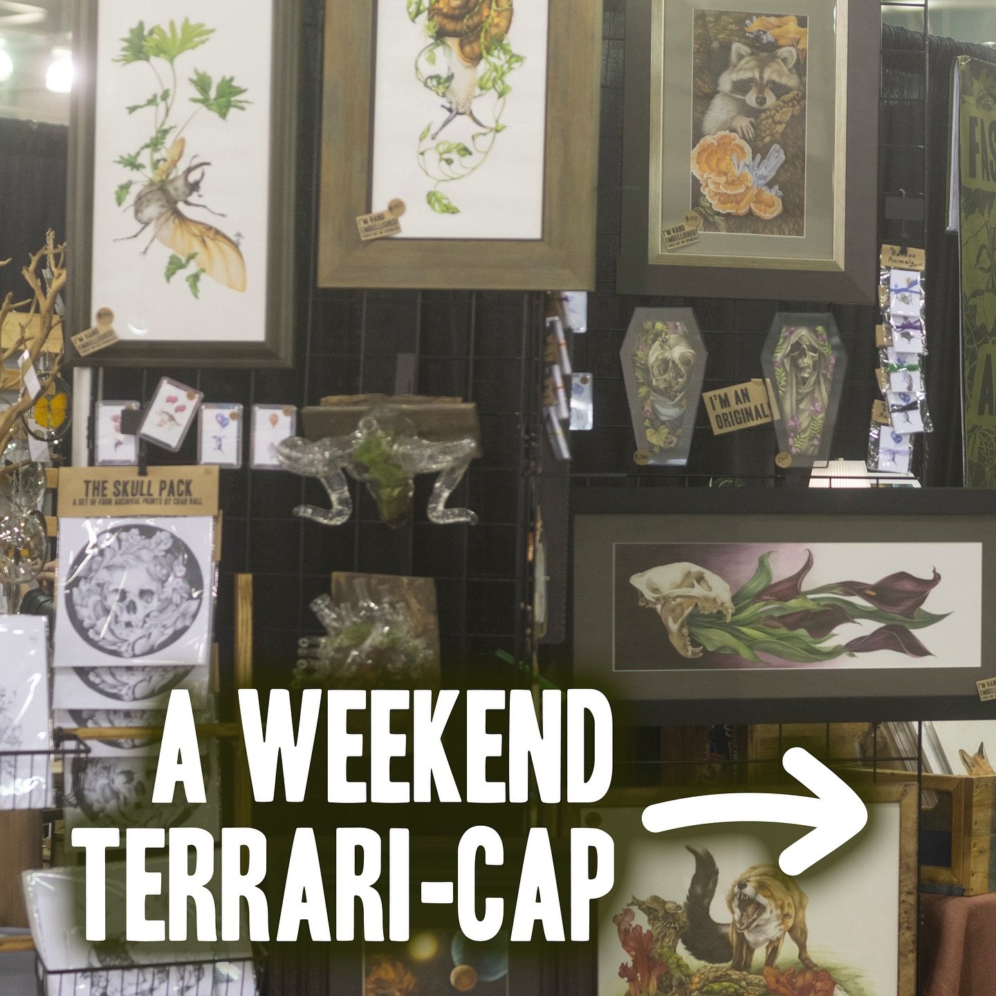 🐛 It&rsquo;s already been a week since @odditiesandcuriositiesexpo but it still feels like it was yesterday (mostly because I&rsquo;m still real tired and because we just finally got back to the east coast) - I wasn&rsquo;t sure what we were getting