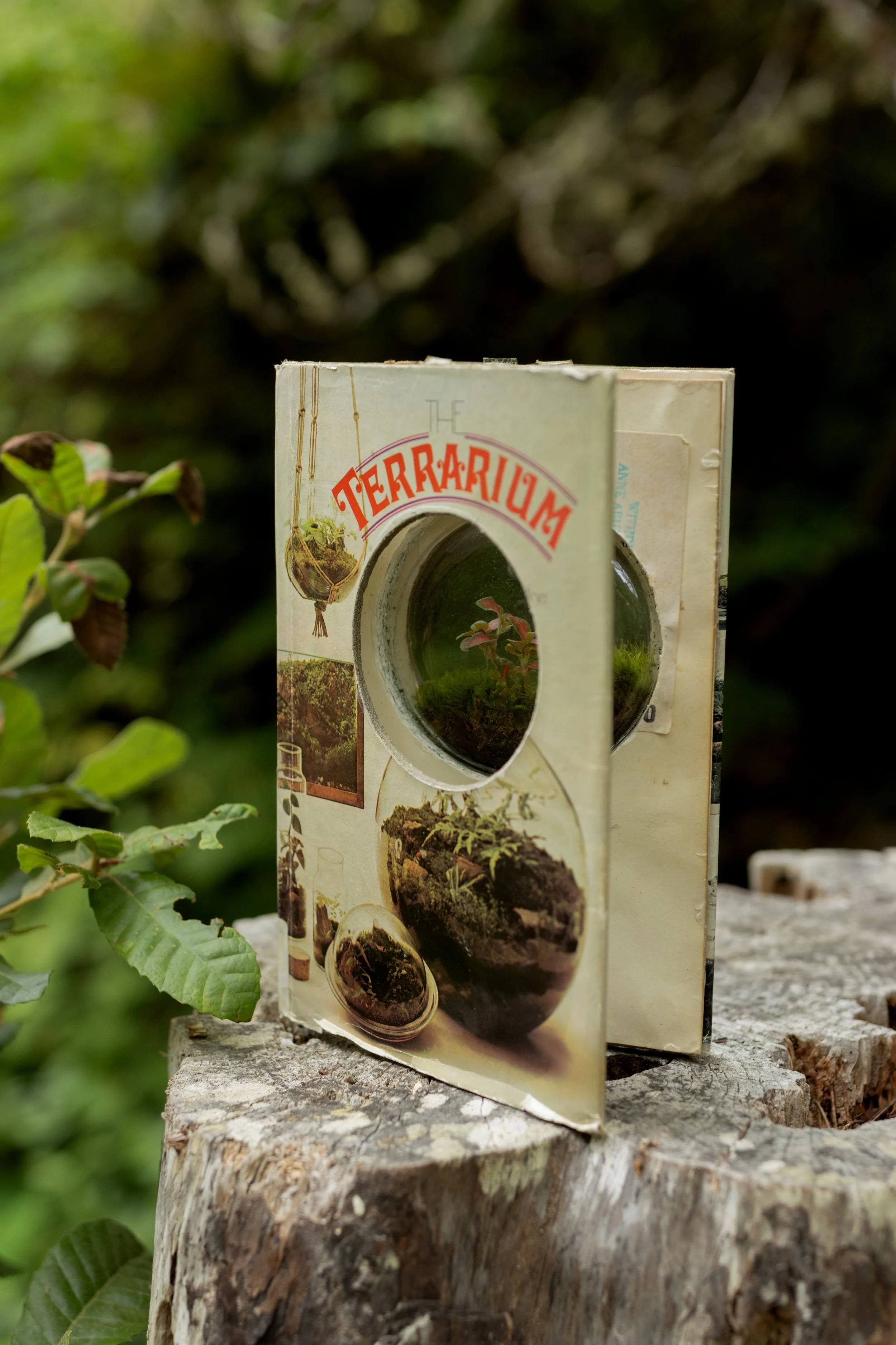 gardenandgather-terrariumbookFULL.jpg