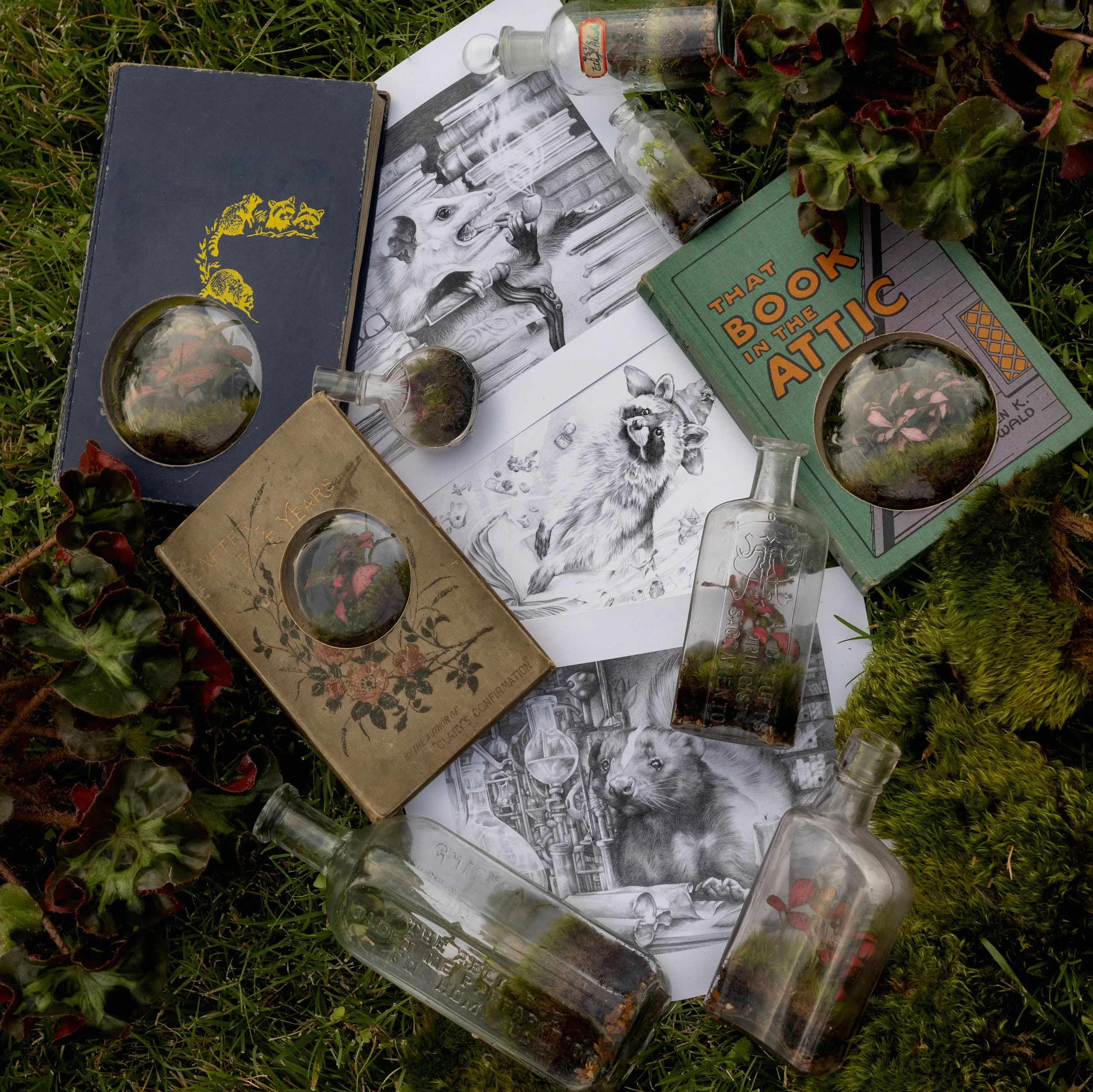 gardenandgather-terrariumsandartandbooksSQ.jpg