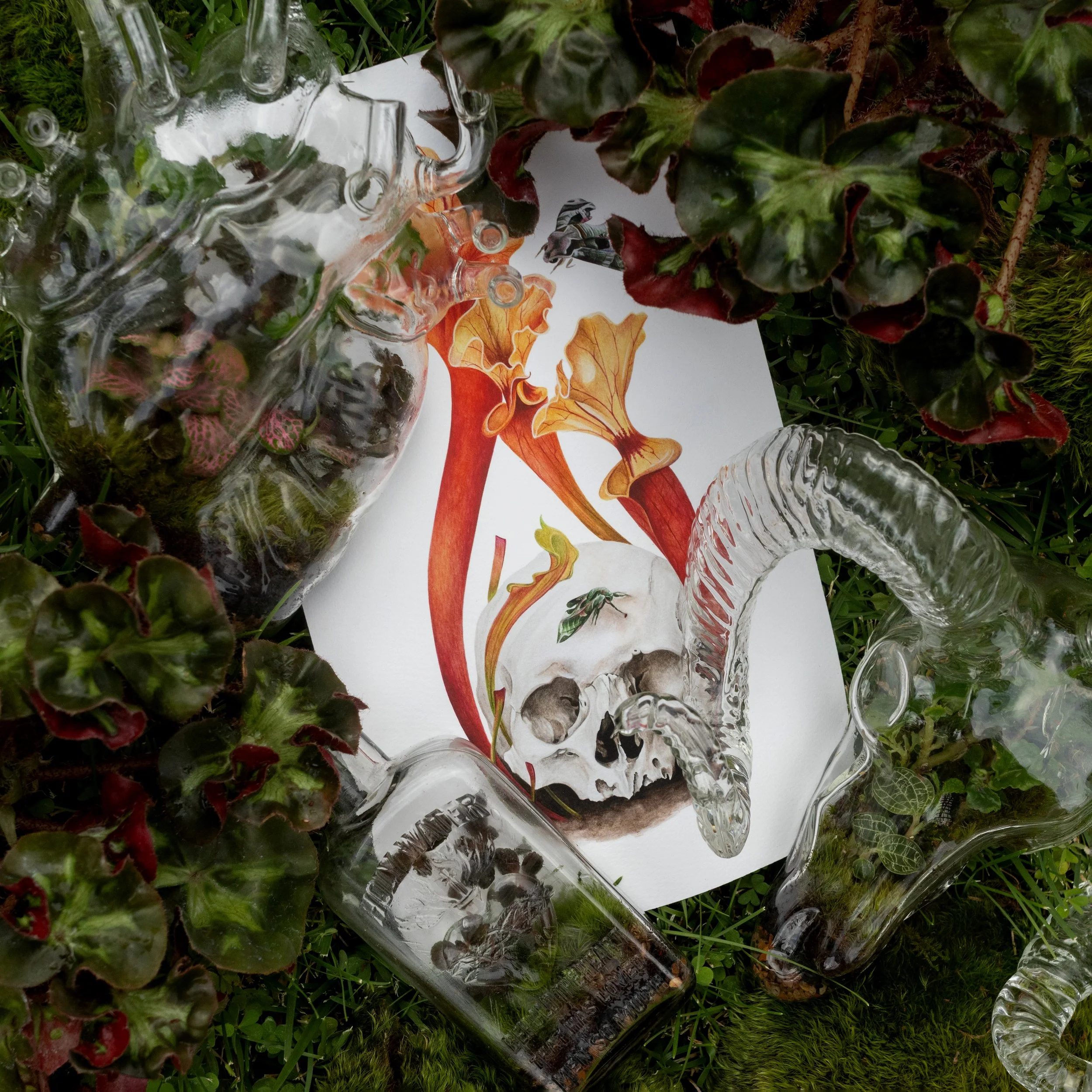 gardenandgather-terrariumsandartSQ2.jpg