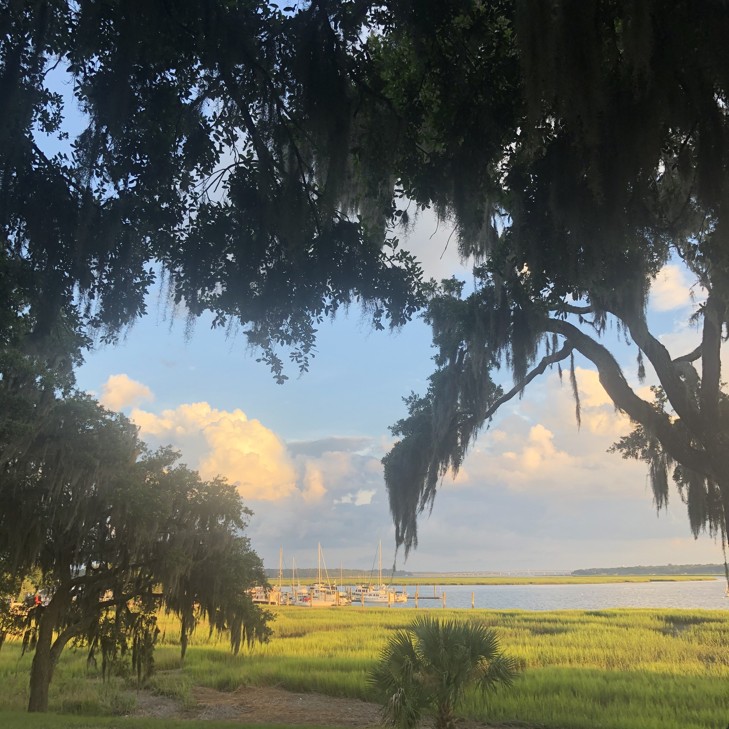 A Lowcountry image looking through the Spanish moss to the Beaufort River and marsh.