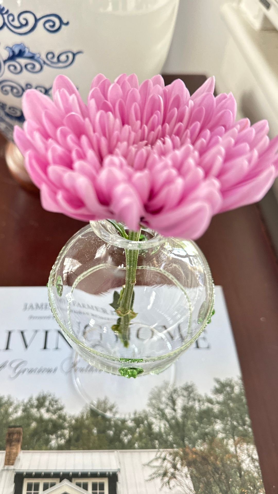 Spring Collection Video.zip - 12.JPG