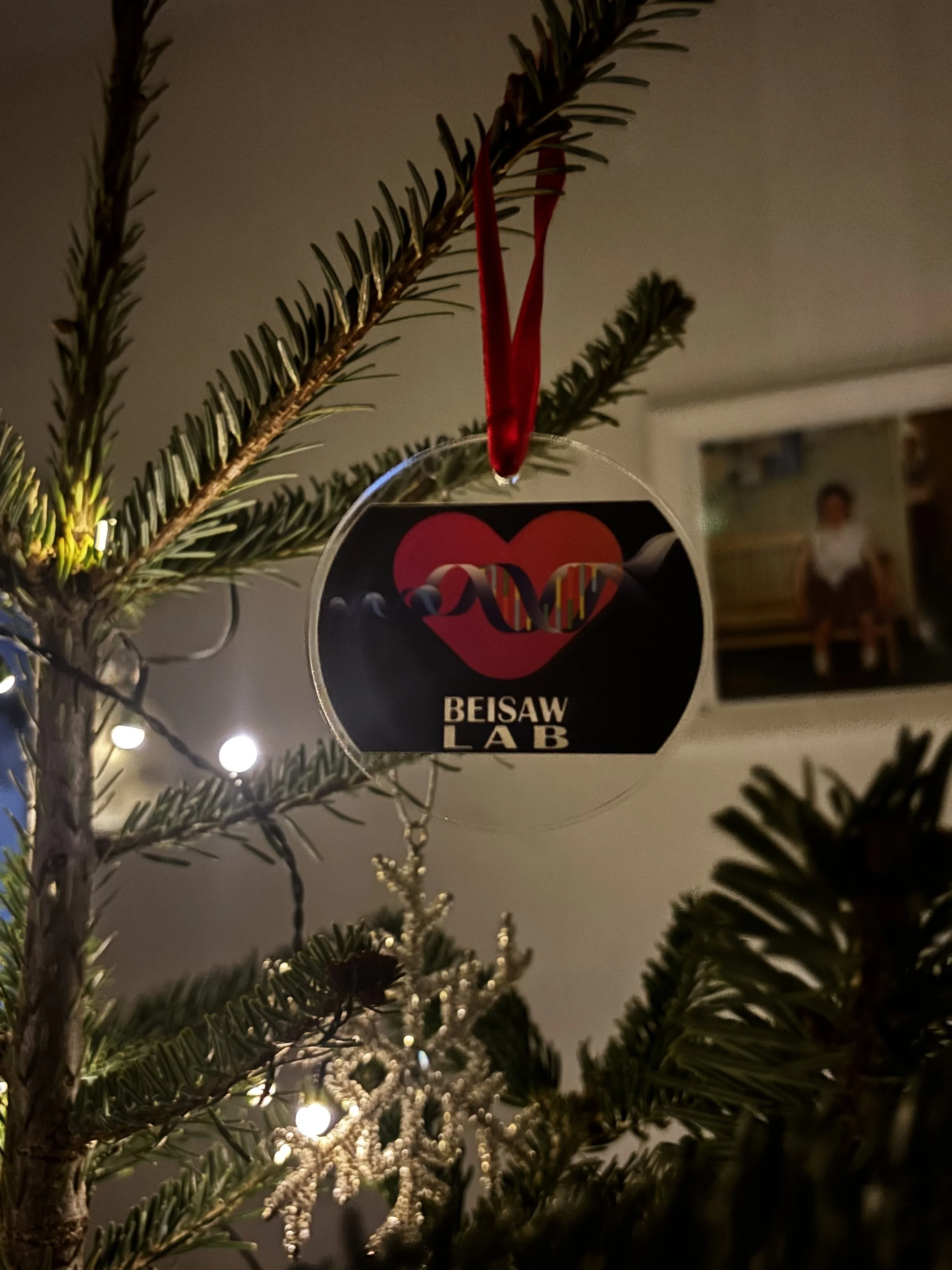 Happy holidays from the Beisaw lab!