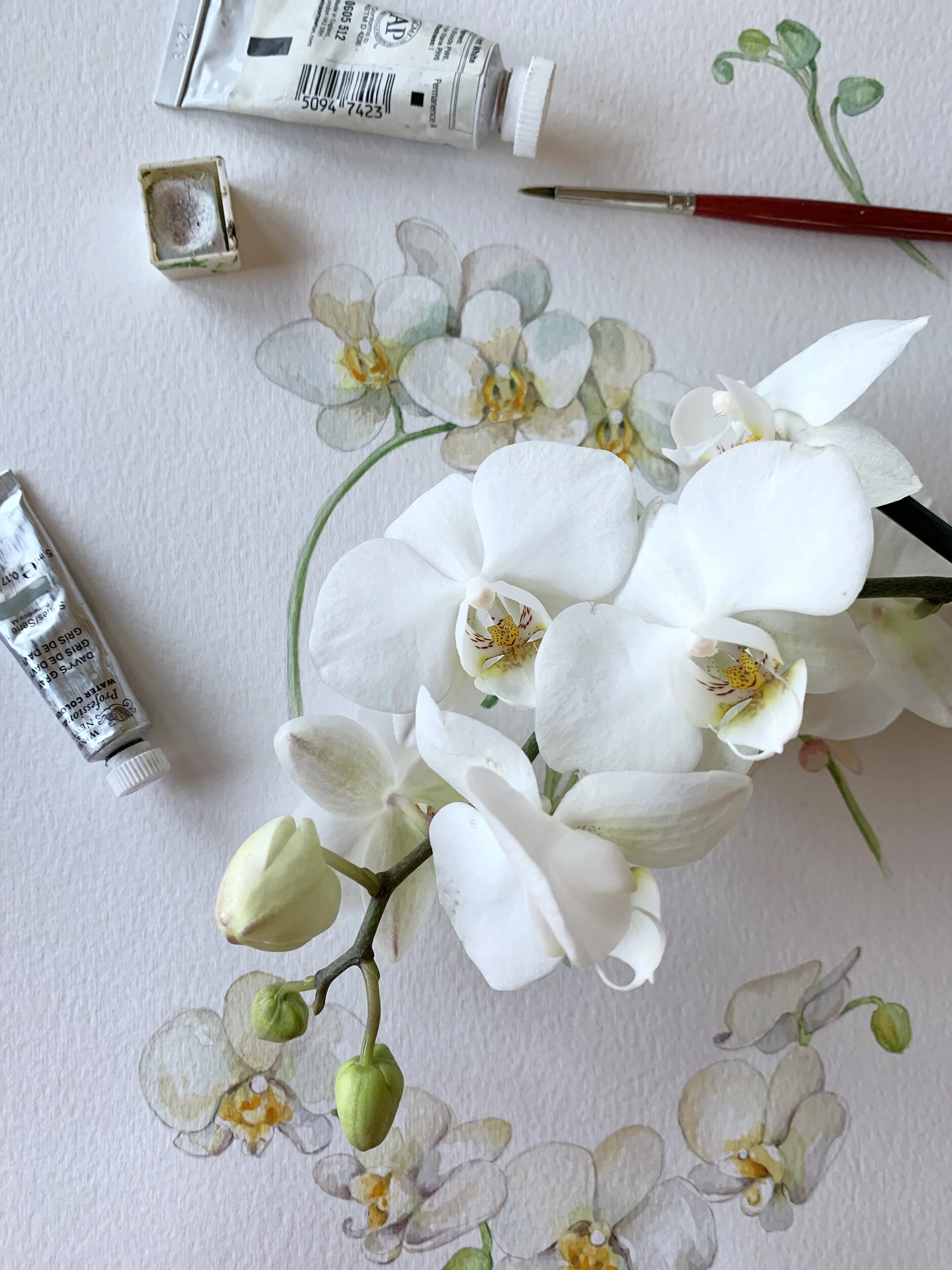 Foto 07-02-20, 16 38 52-2.jpg