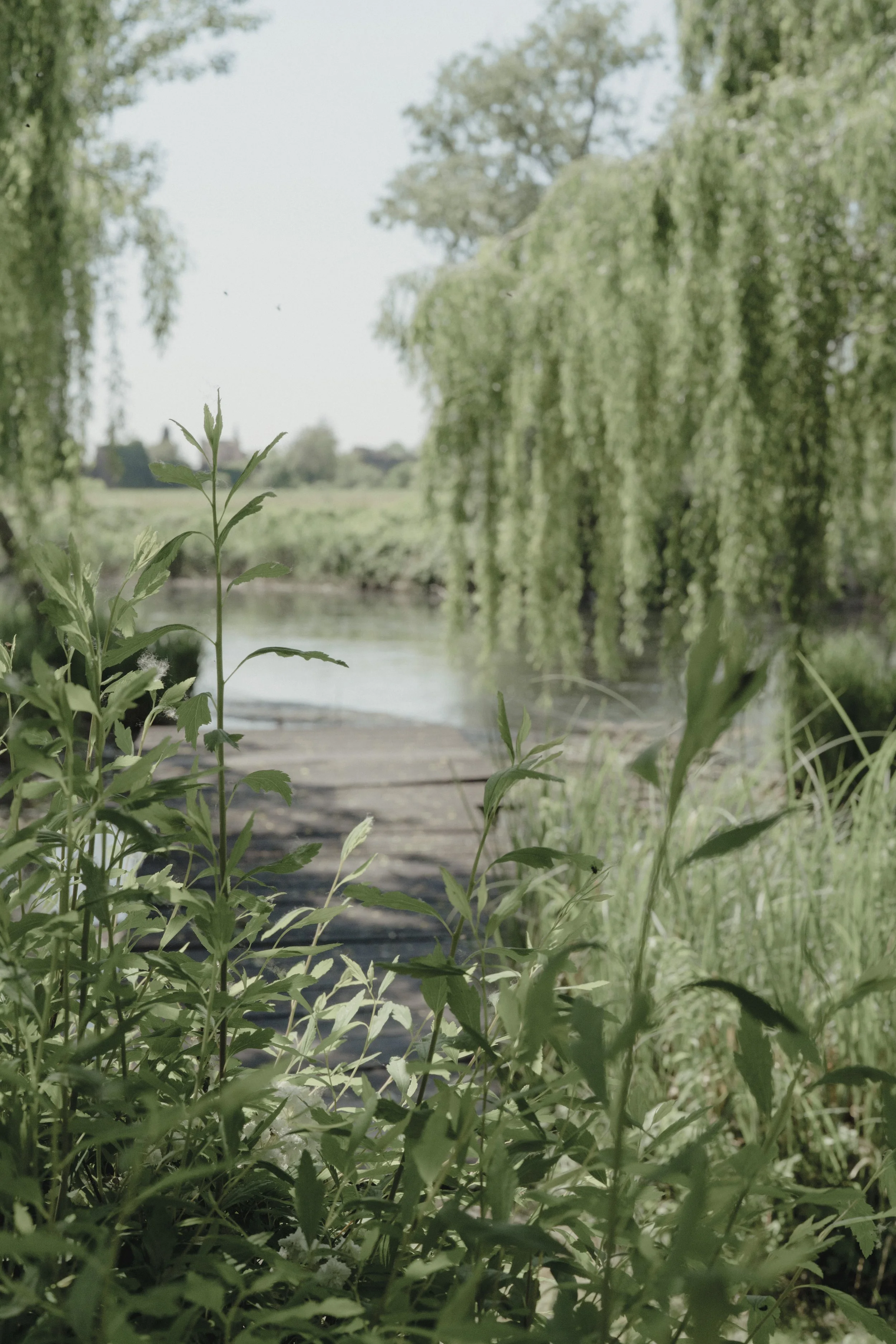 shining pearls_14.jpg