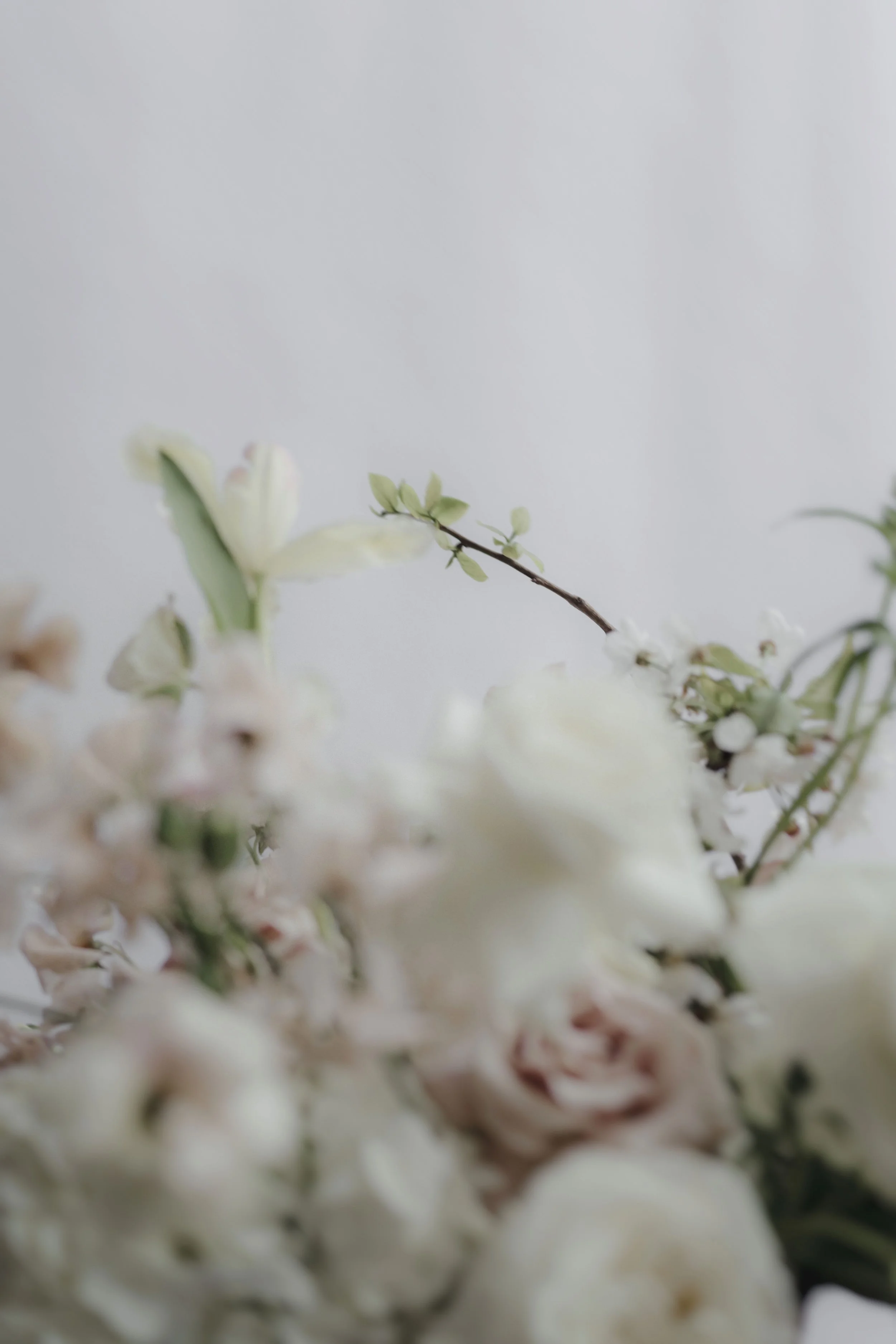 shining pearls_32.jpg