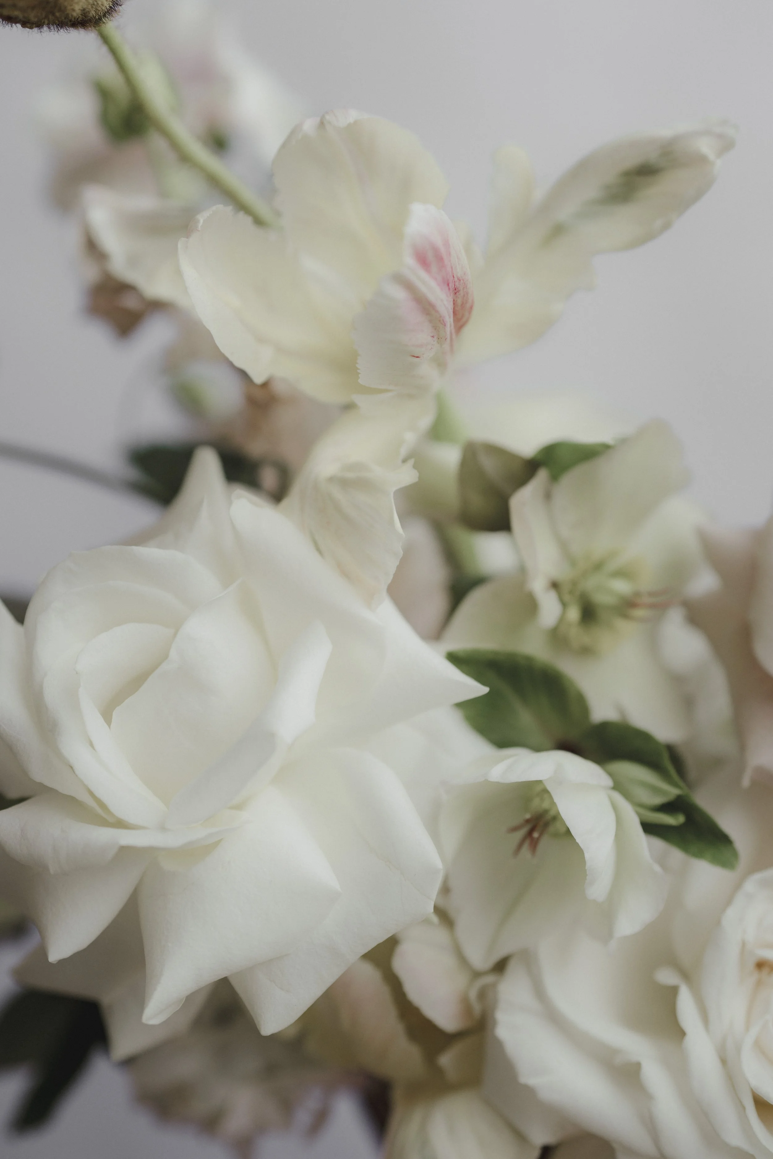 shining pearls_77.jpg