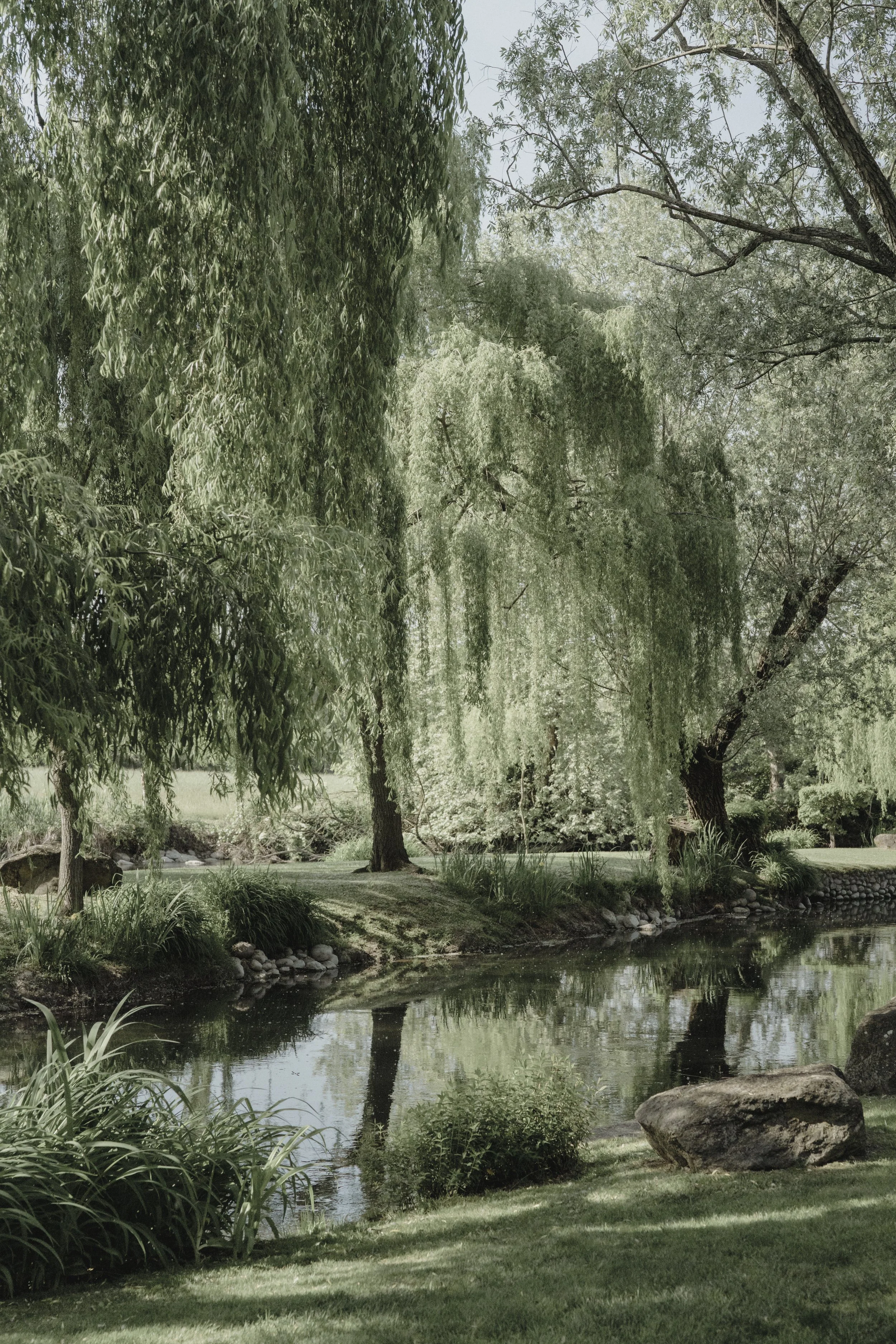 shining pearls_44.jpg