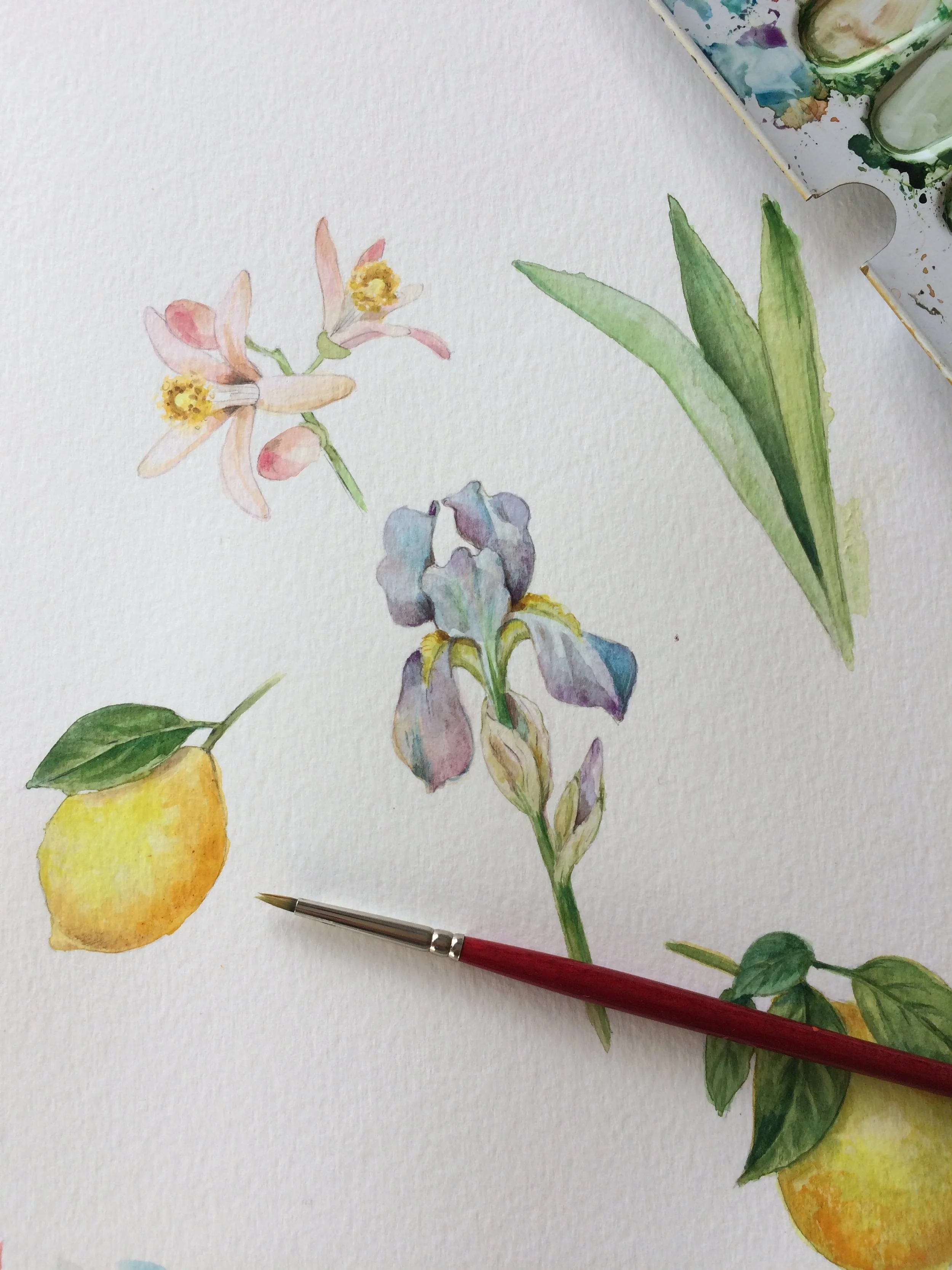 Foto 29-01-20, 12 56 18.jpg