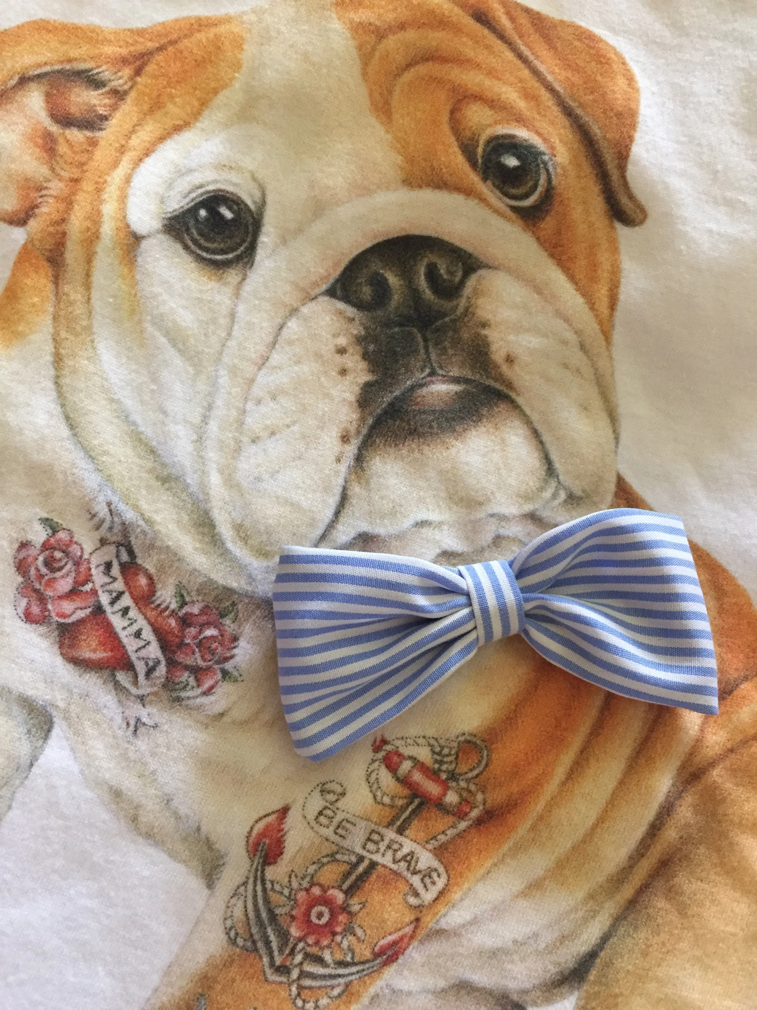 foto 19-05-18, 16 23 24.jpg