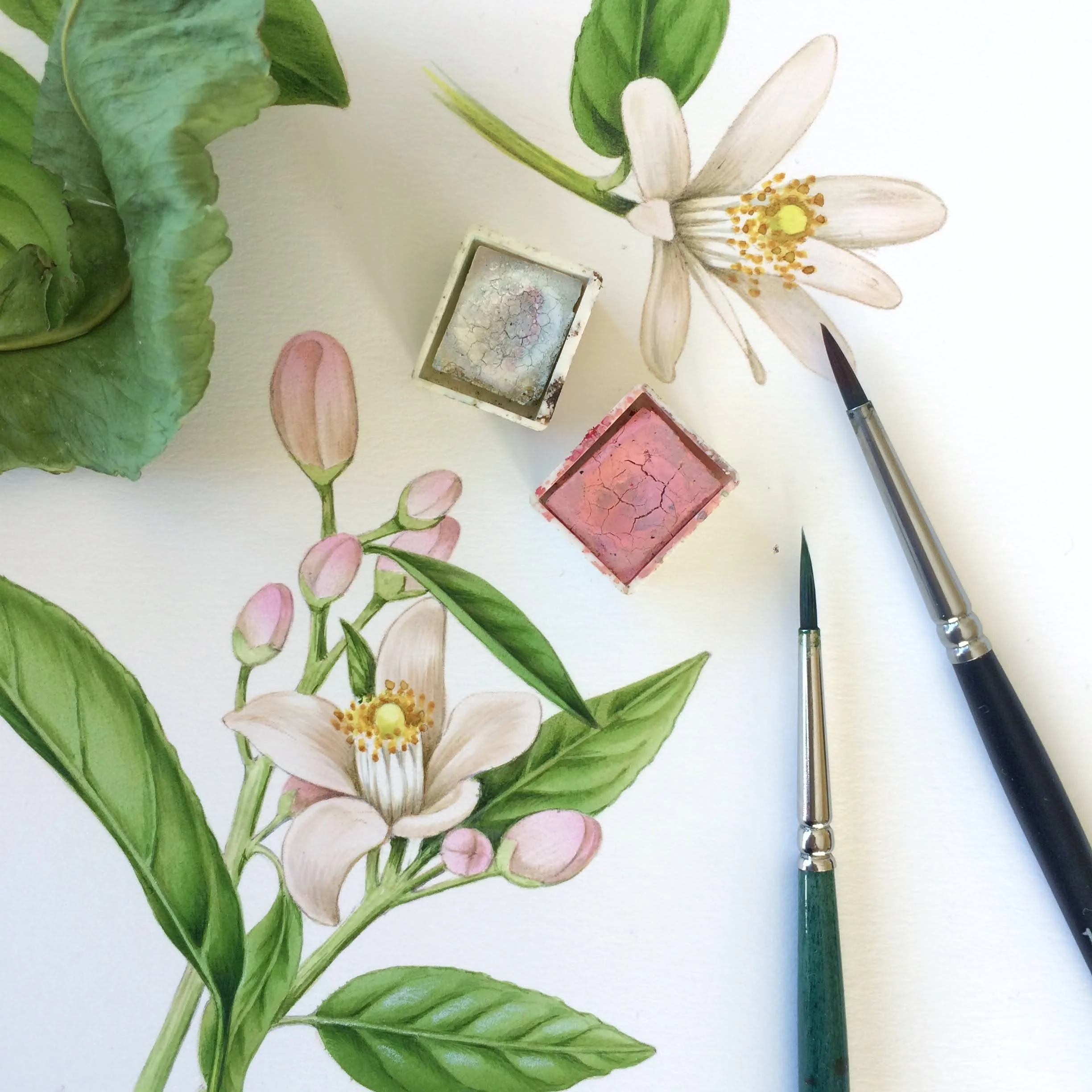 foto 12-02-19, 12 52 42.jpg