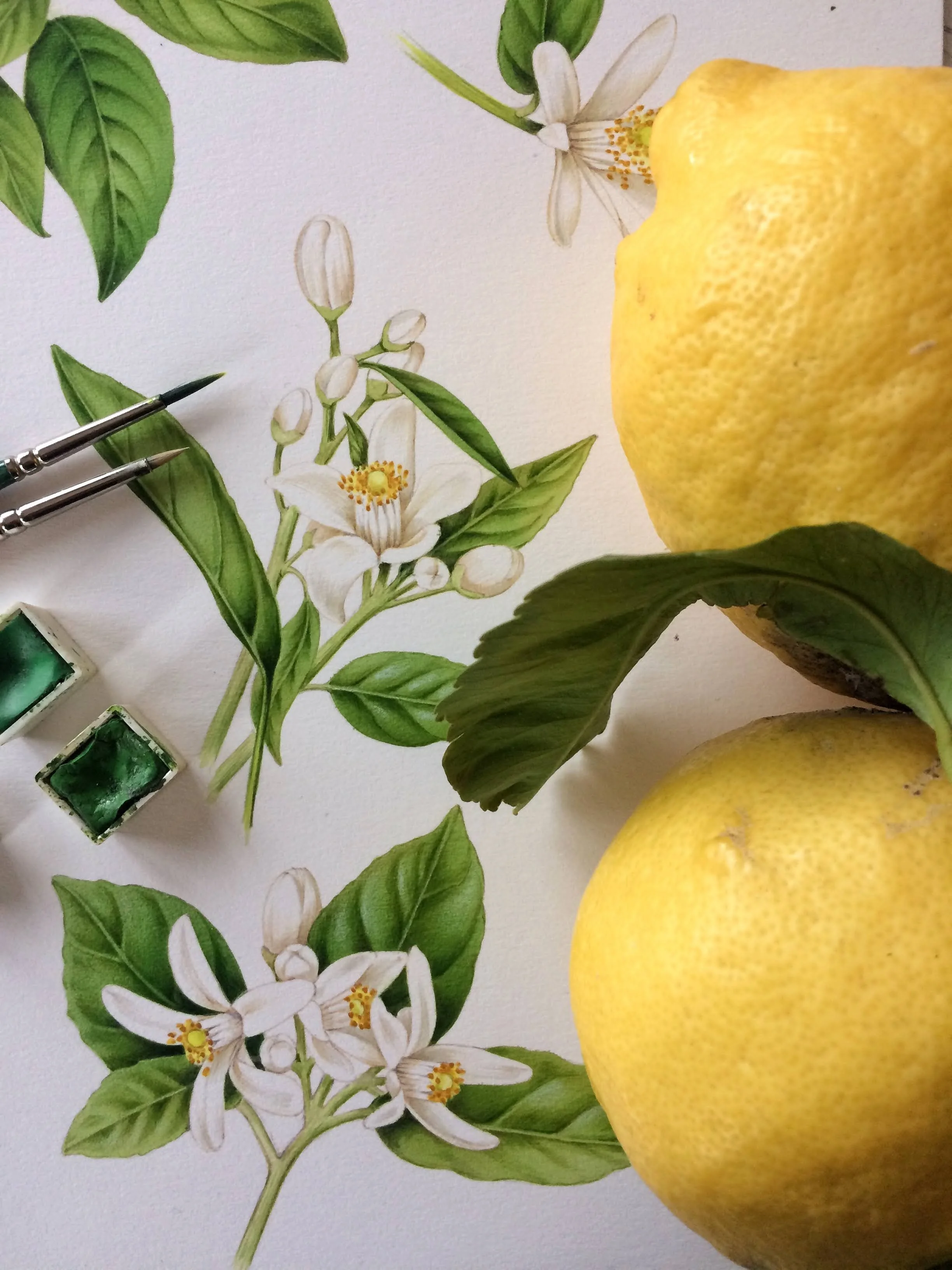 foto 10-02-19, 16 09 43.jpg