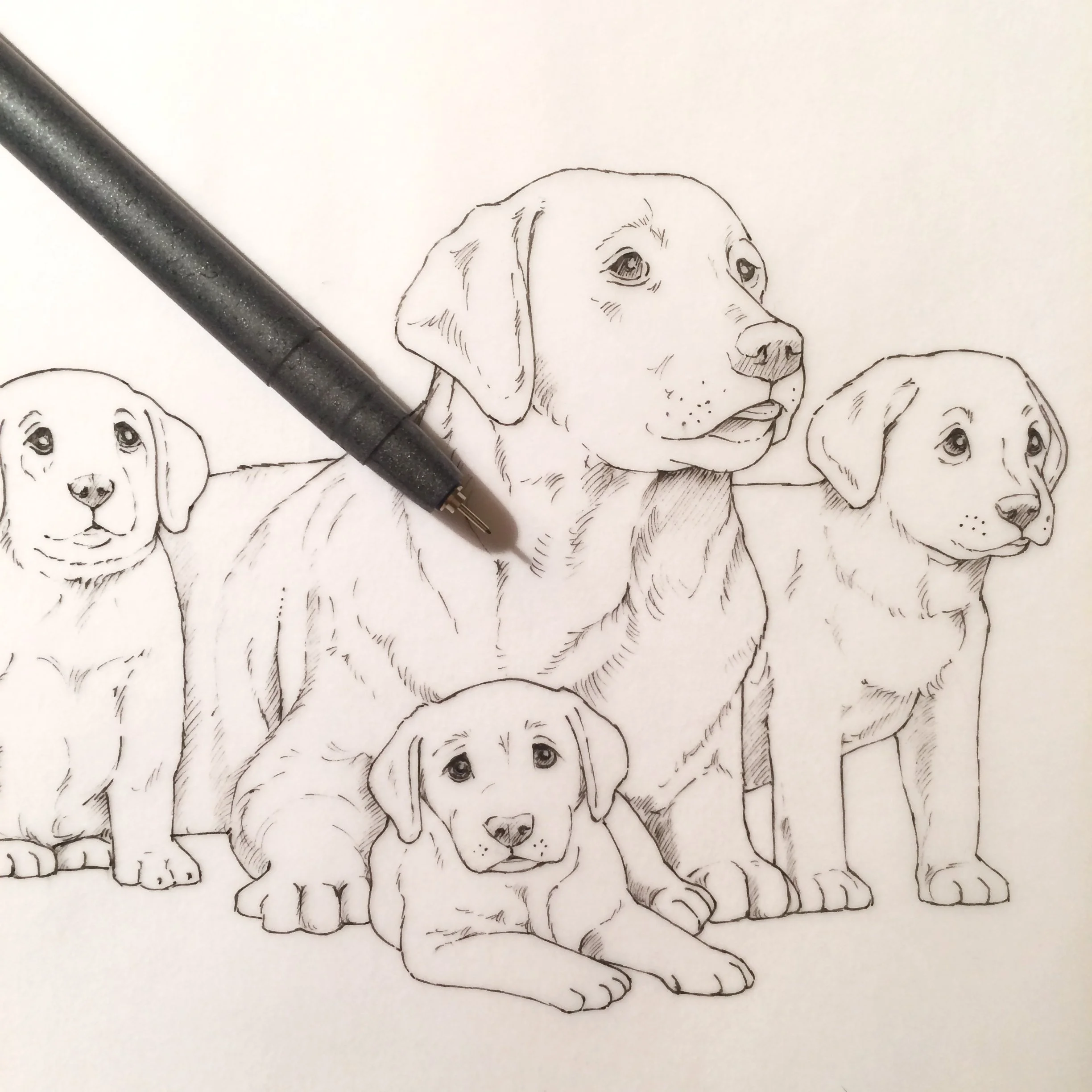 Foto 06-11-17, 18 48 16.jpg