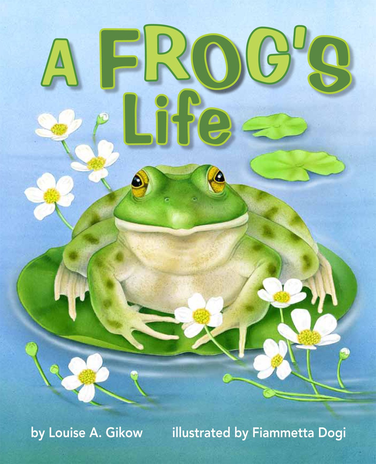 Fiammetta Dogi_FrogsLife.jpg