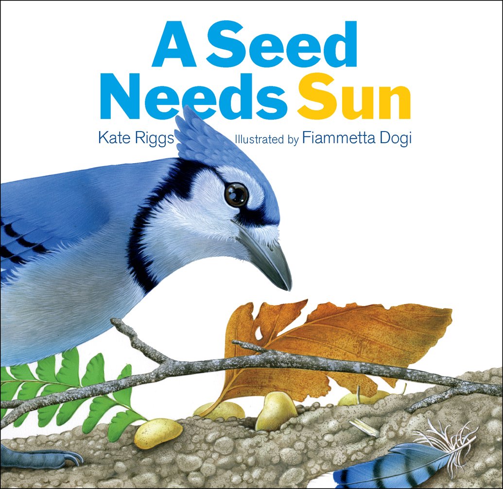 A Seed Needs Sun cover .jpg