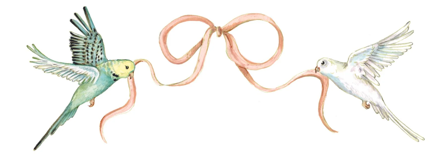 hand painted custom wedding illustration with ribbon bow and birds for luxury wedding stationery