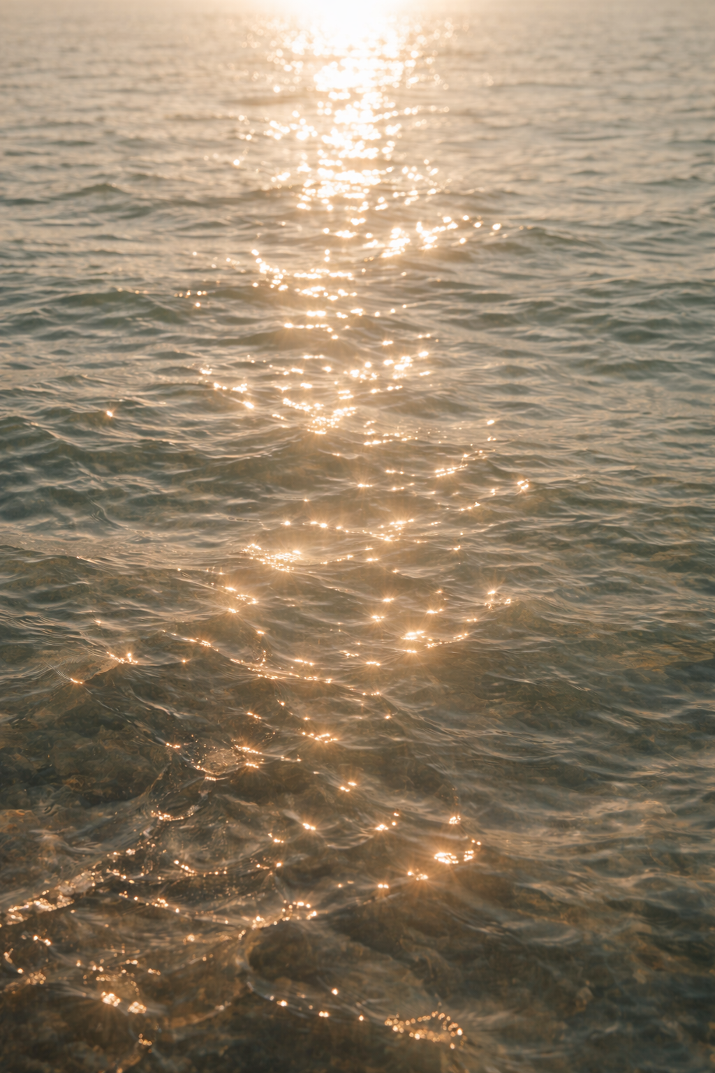 Recorded Orientation