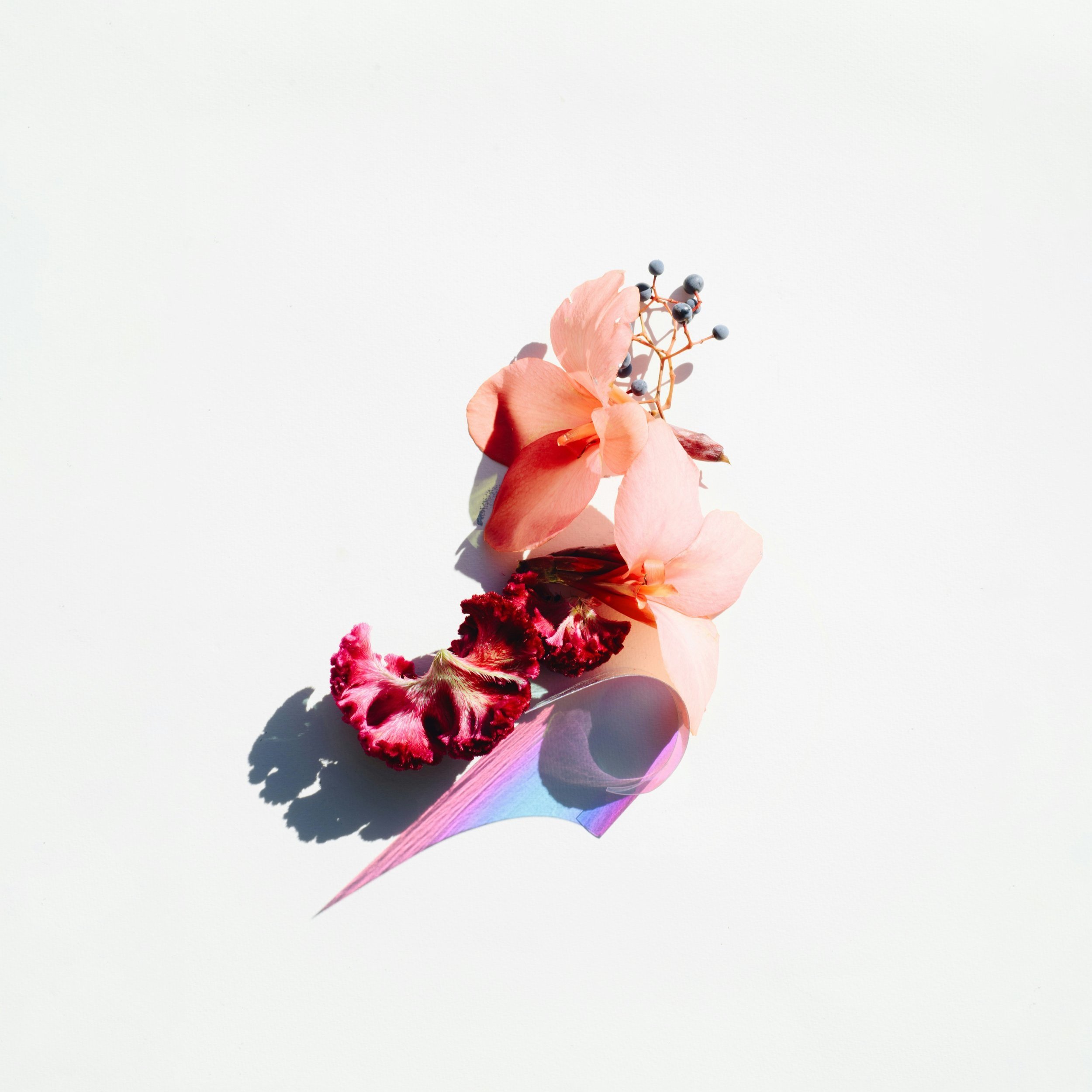 Rush Delivery Upgrade - 3 Day Turnaround Time