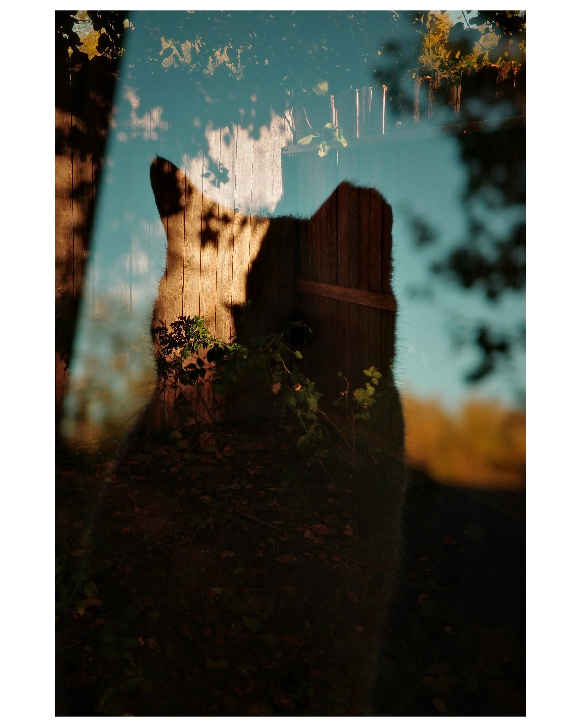 New double exposures!