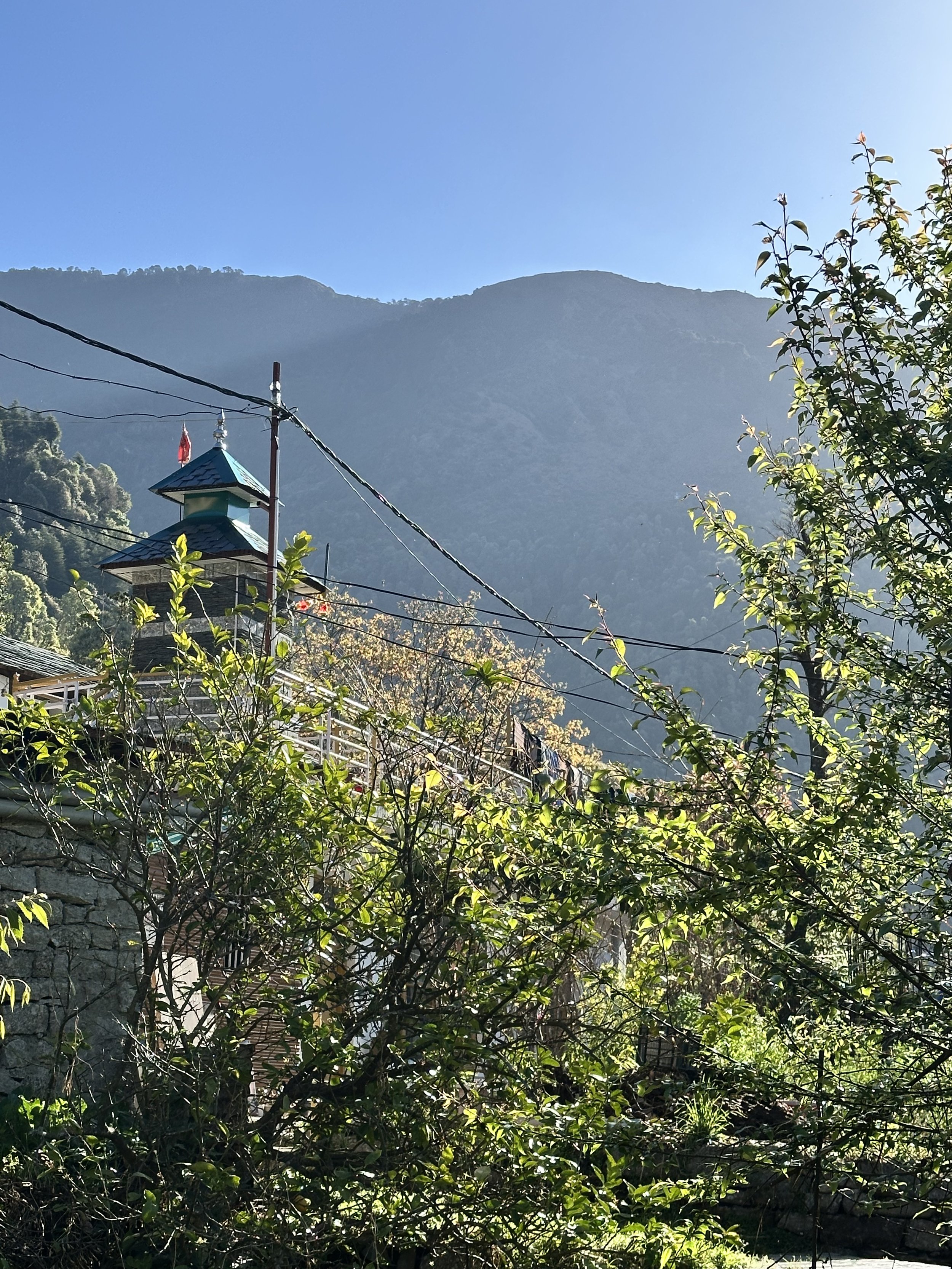 Jak studovat ájurvédu skutečně holisticky?