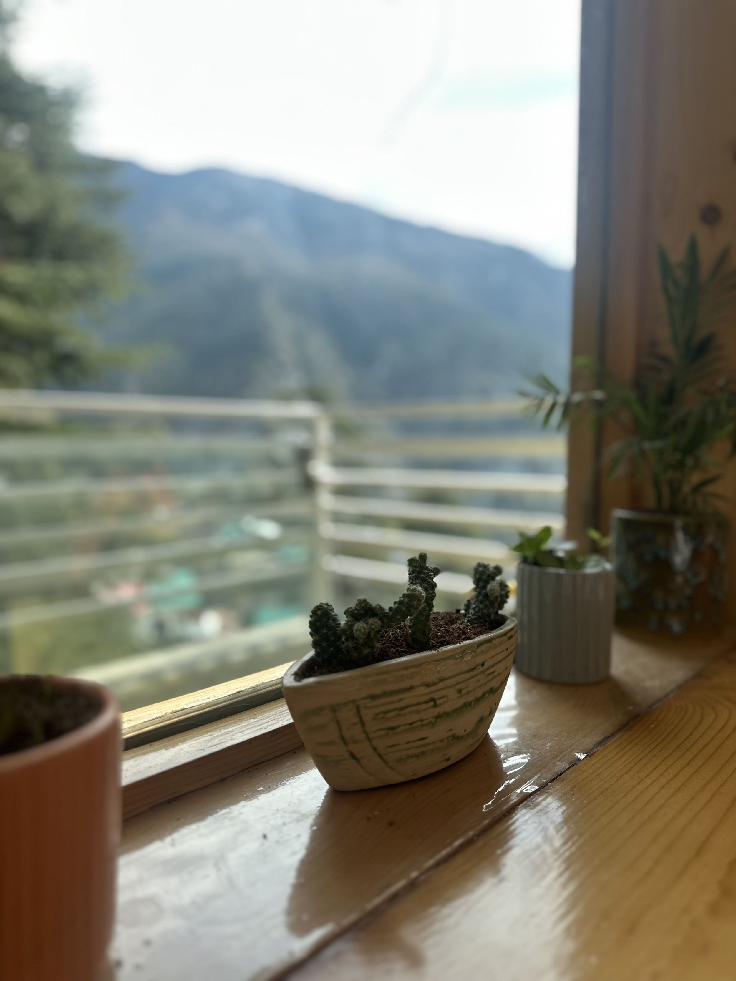 IMG_3978 ayuskama view.jpeg