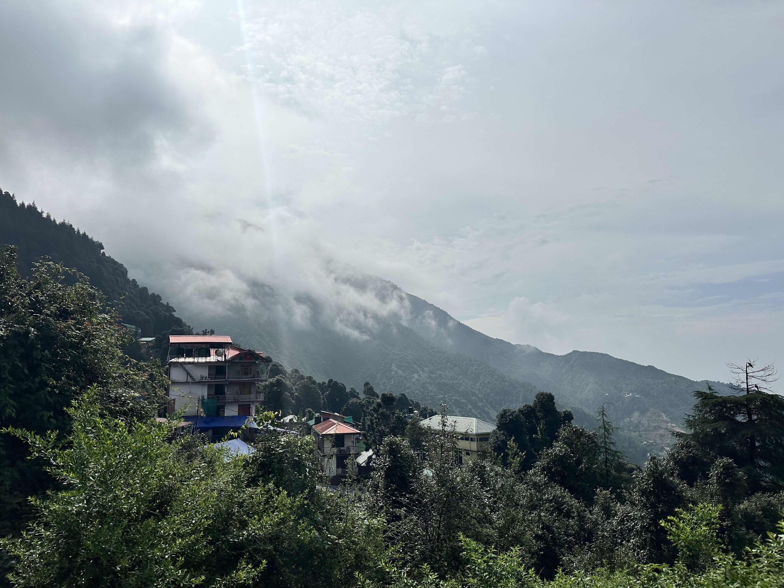 IMG_4819 bhagsu monzun hory.jpeg