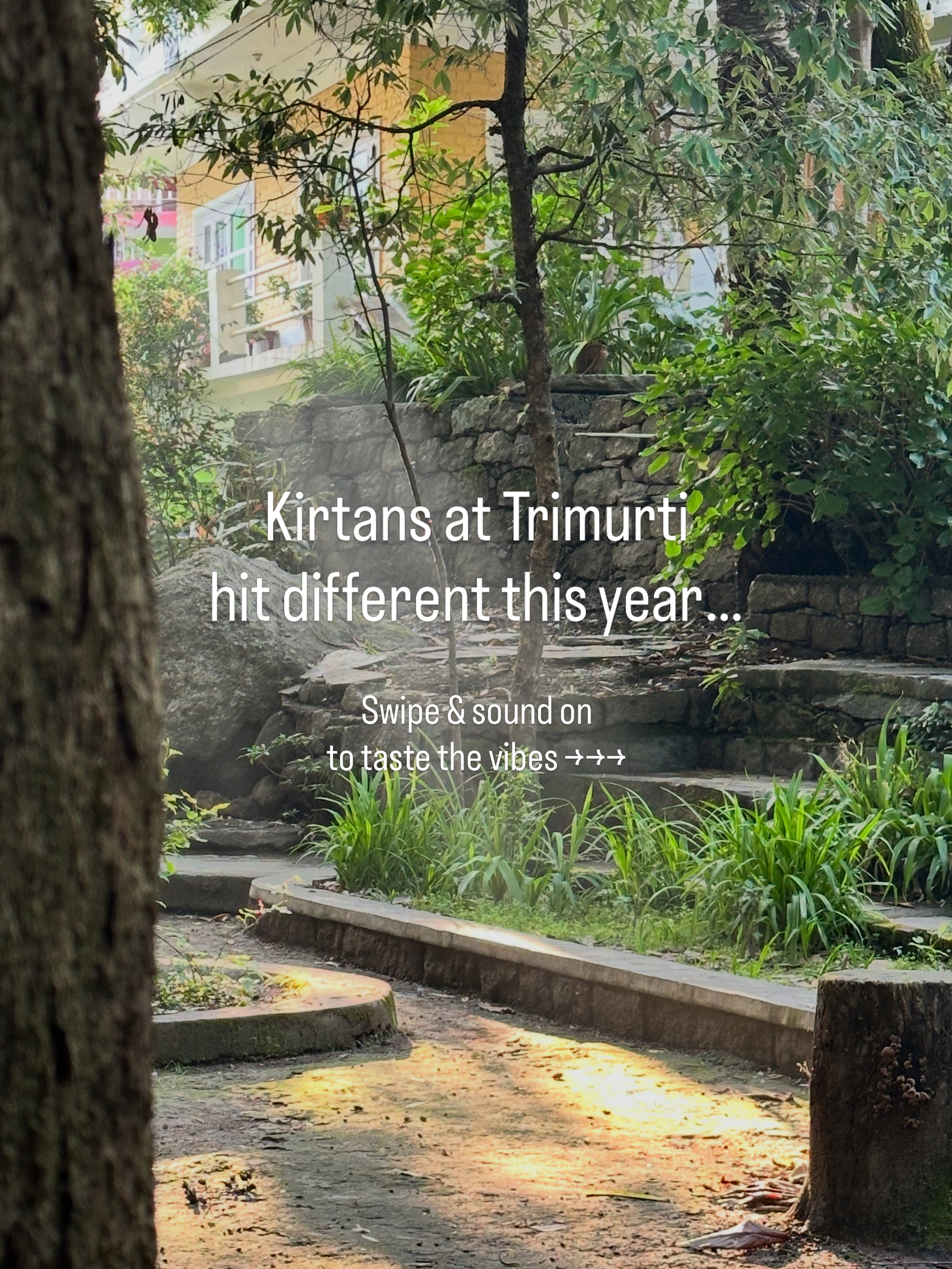 Kirtans at @trimurtigarden, THANK YOU! 🙏 

What a blessing to have been a part of such wonderful offering 💚 

This season was special. 

Thank you Maryz, Vidhu, Sina, Vini, Tomas, Ananda, Mira and everyone else who ever joined and made these incred
