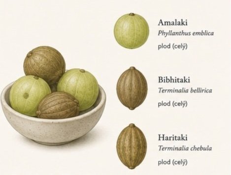 TRIPHALA
