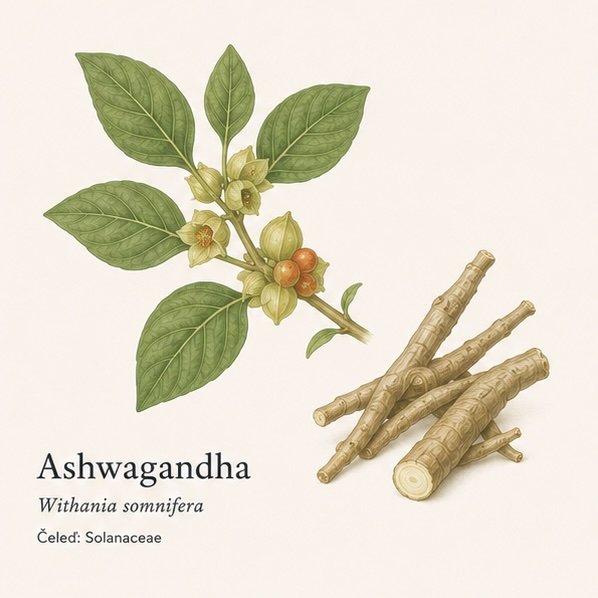 ASHWAGANDHA