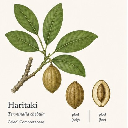HARITAKI