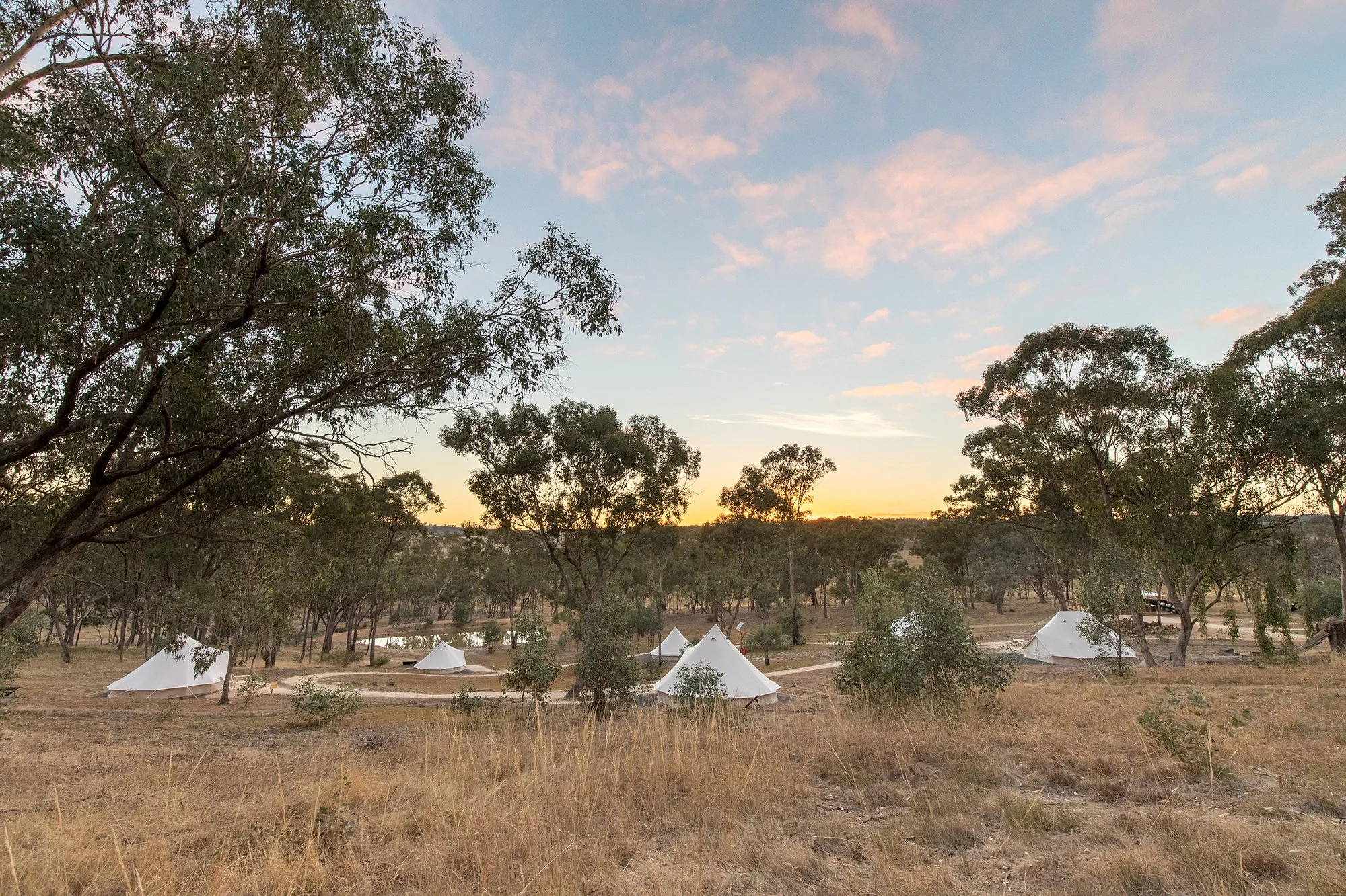 Cosy Tents VUE Studio