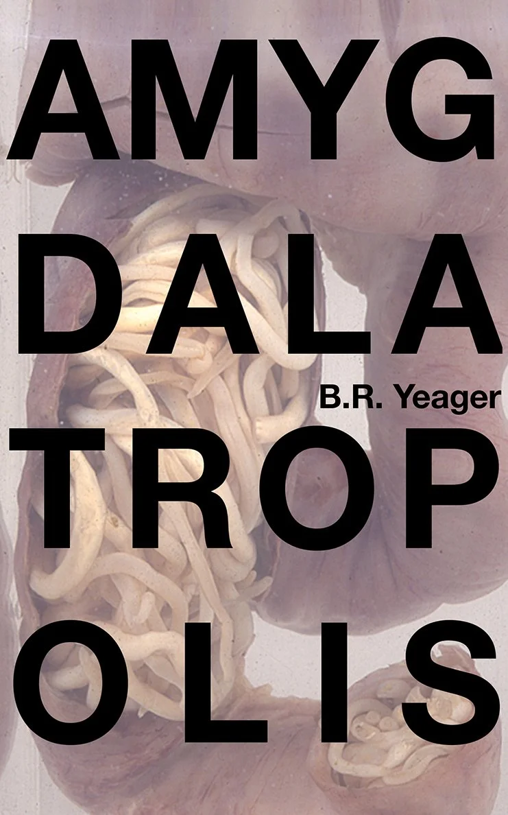 Review: Negative Space By B.R. Yeager – EXAIP