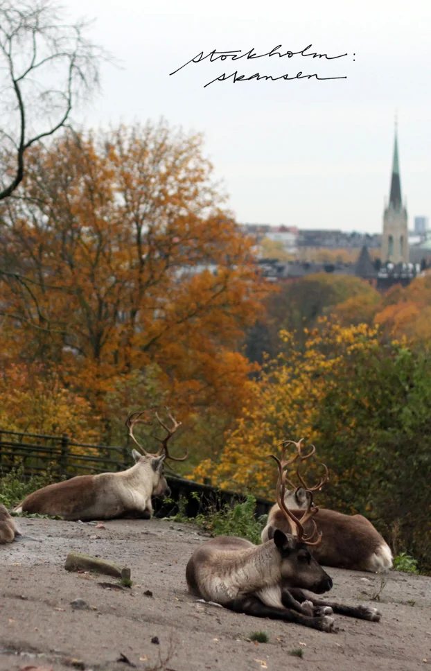 Stockholm's Skansen