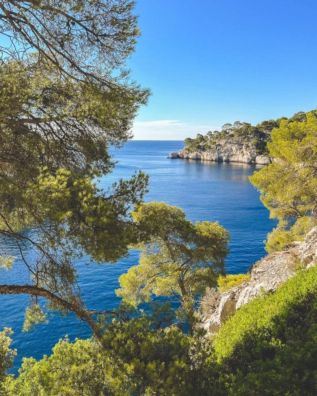 The Provence by Design Top 20 list for 2024 is live! Would you like access? If so, just comment PROVENCE below. 👇

photo: @jane.merritt.photo

#provencebydesign #provencetop20 #evajorgensentravel #travelfreebie