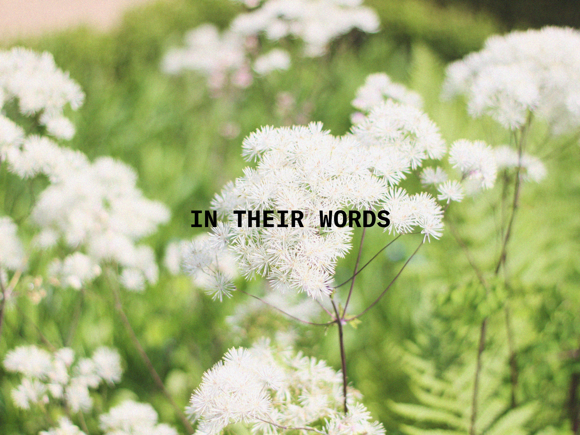 in-their-words.png