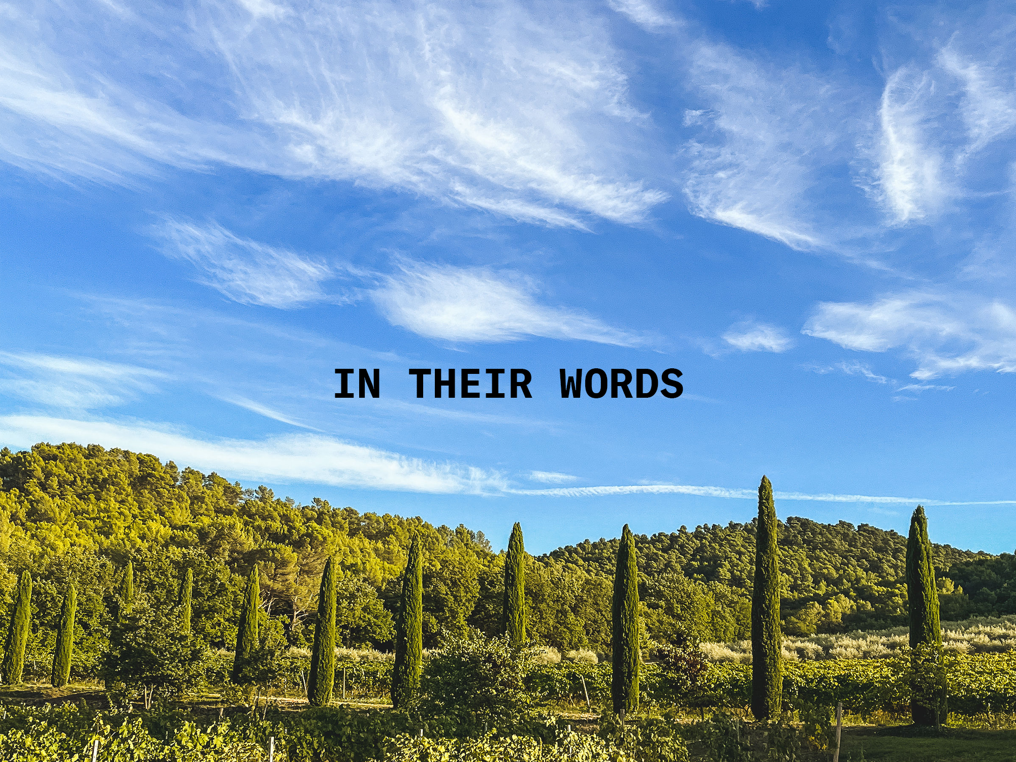 in-their-words-provence.png