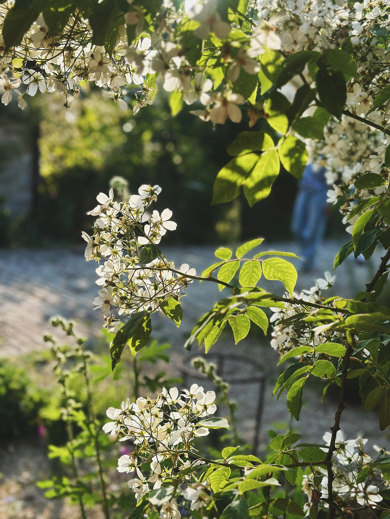 Cotswolds-by-Design-edits-14.jpg