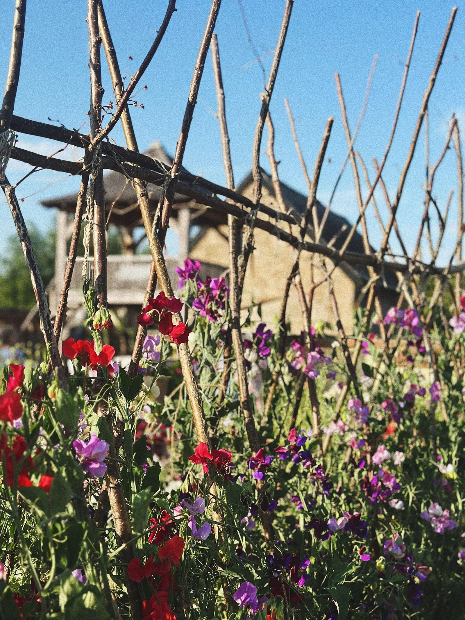 Cotswolds-by-Design-edits-11.jpg