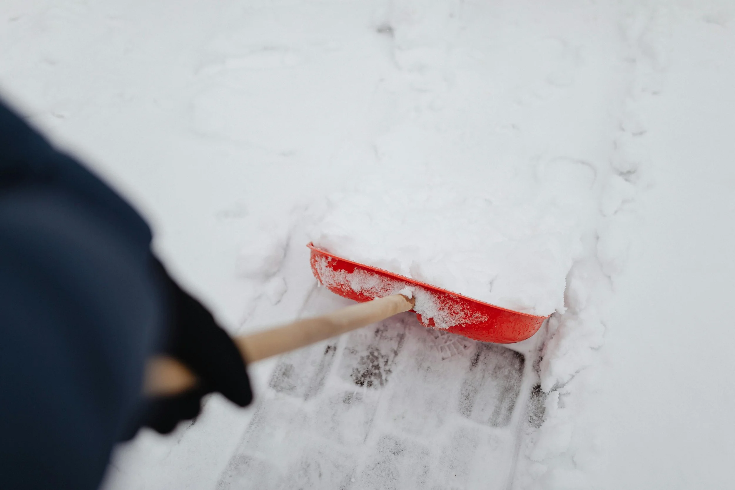 What is the cost of snow removal services in Winnipeg?