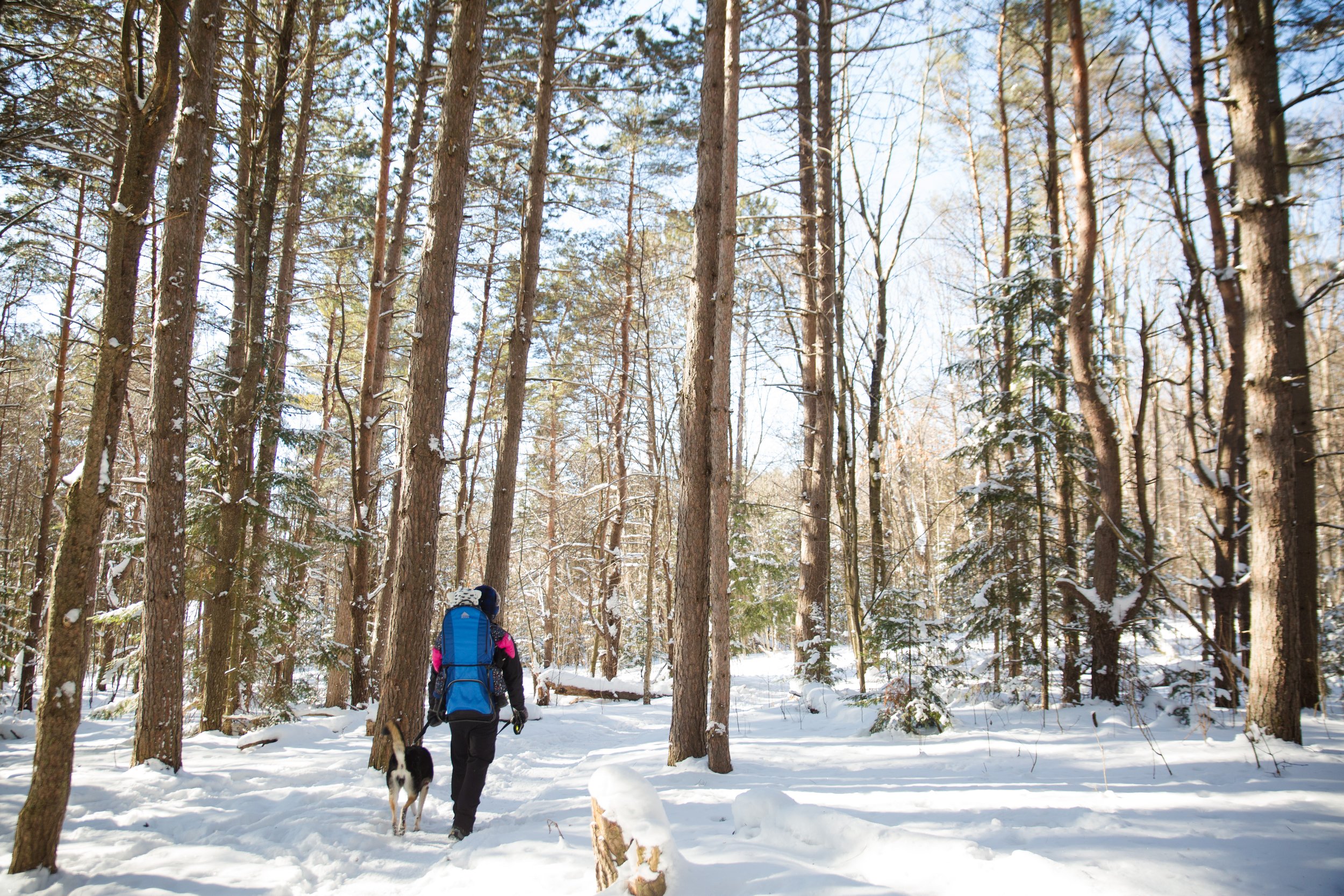 The North Bay Emergency Department staff are an outdoorsy group. Many love spending free time in the many trails around our region, including the Laurentian Conservation Area trails.