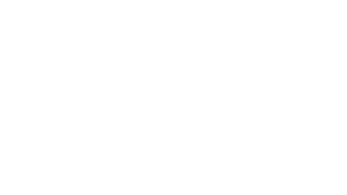 Skye Live Festival