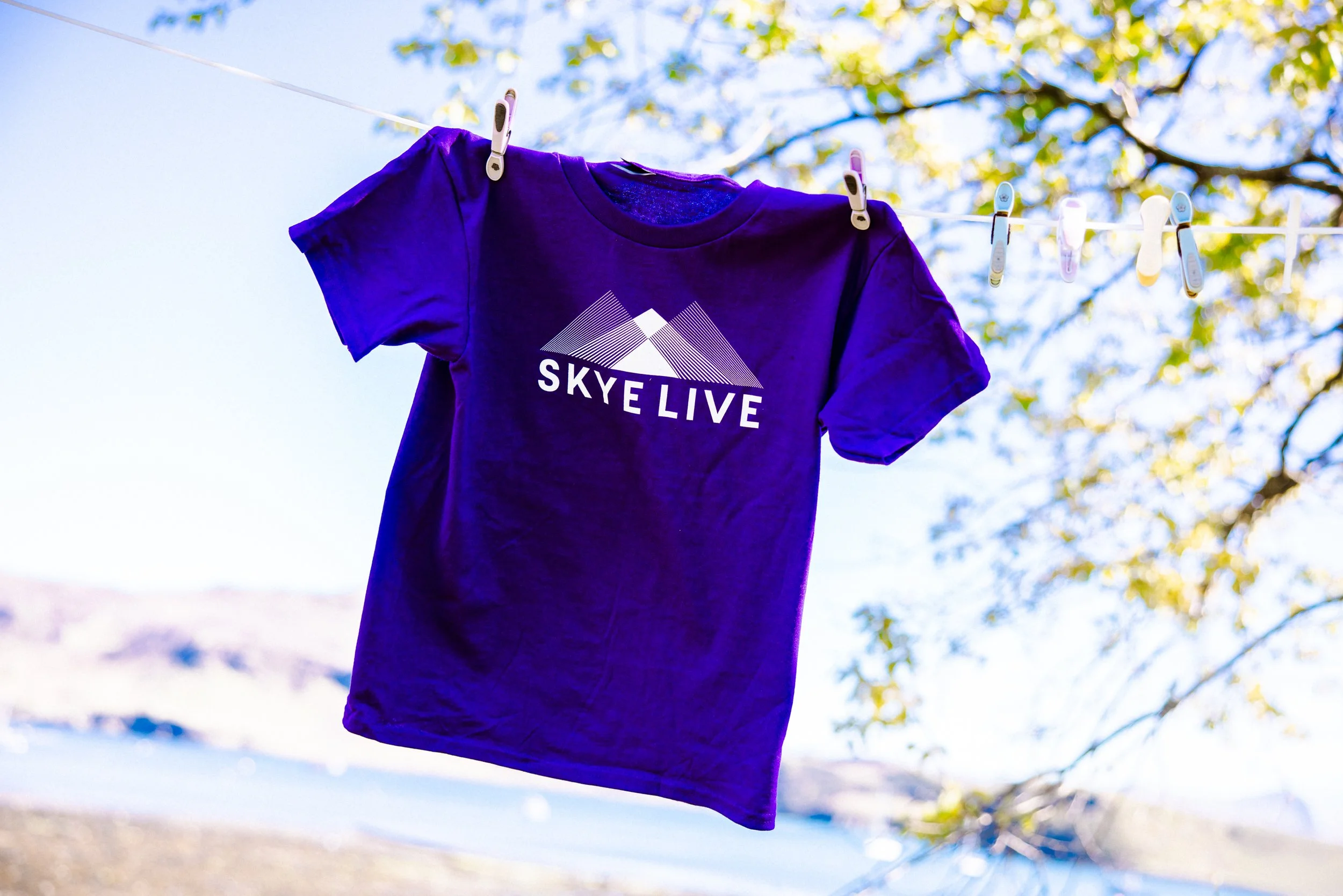 SKYE LIVE MERCH 2026 :: 100.jpg (Copy)