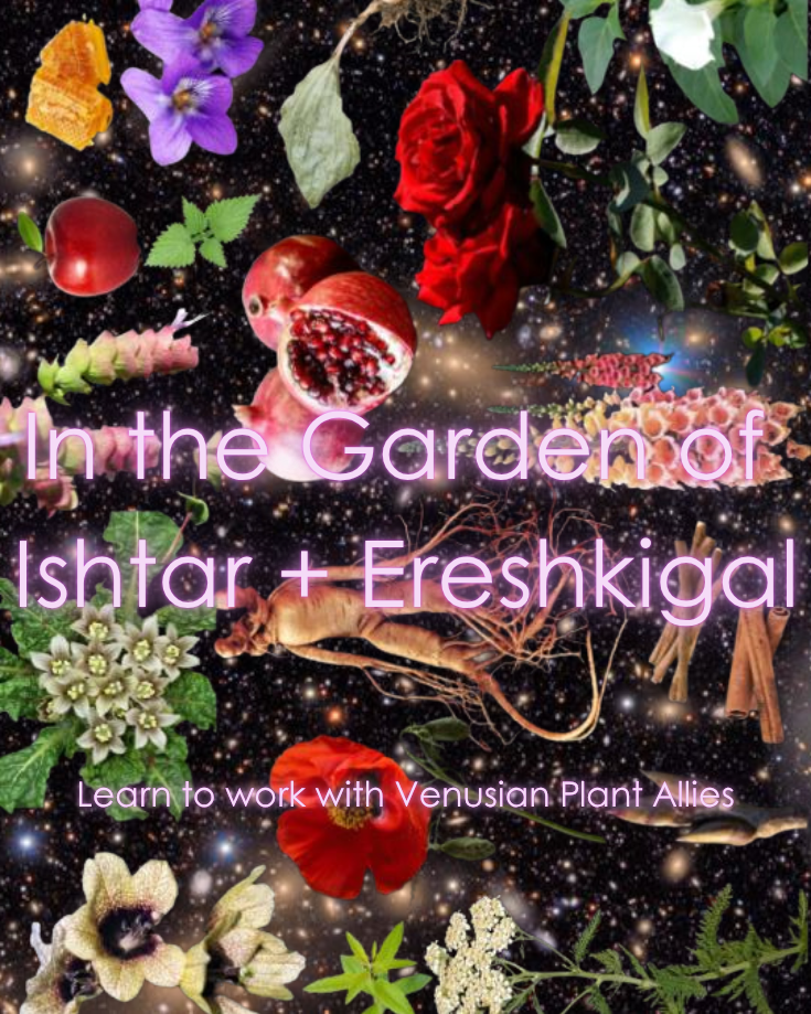 Garden promo for web.png