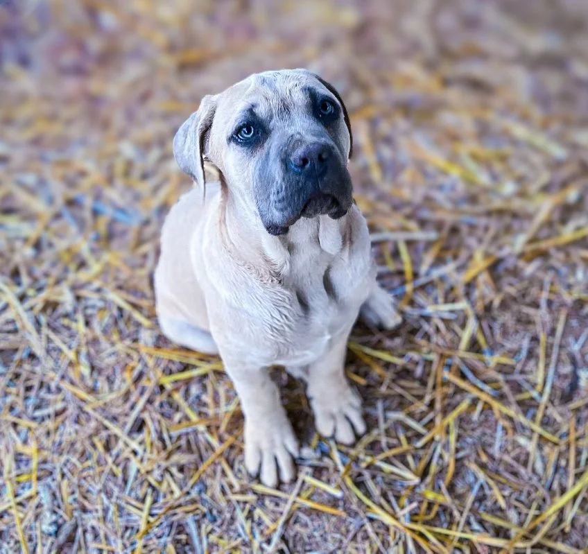 Resized_IMG_8672(1) (1).jpg