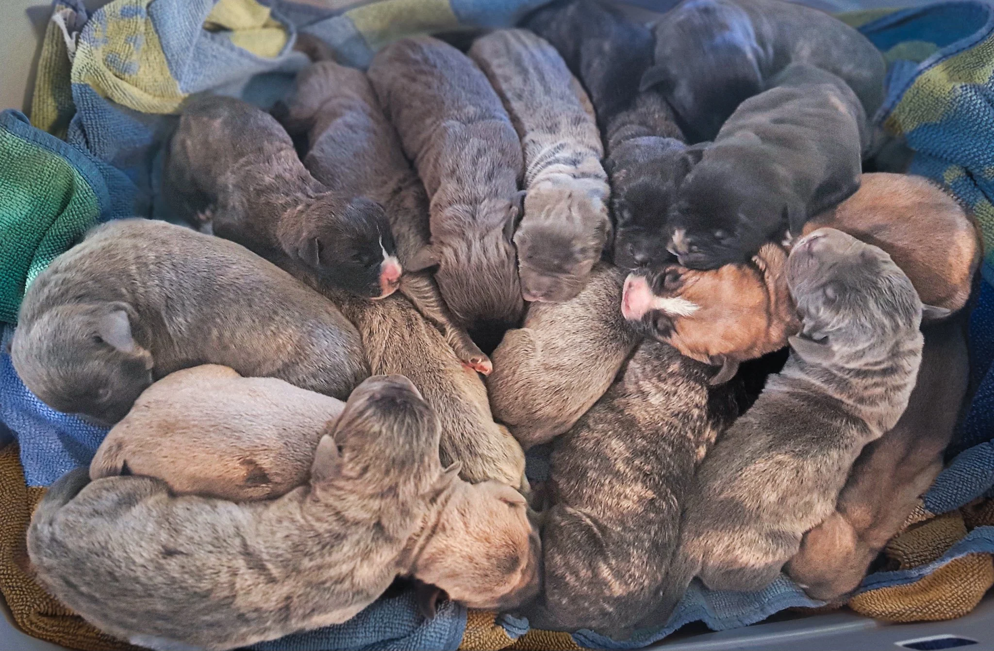 20250908_151820 (1).jpg