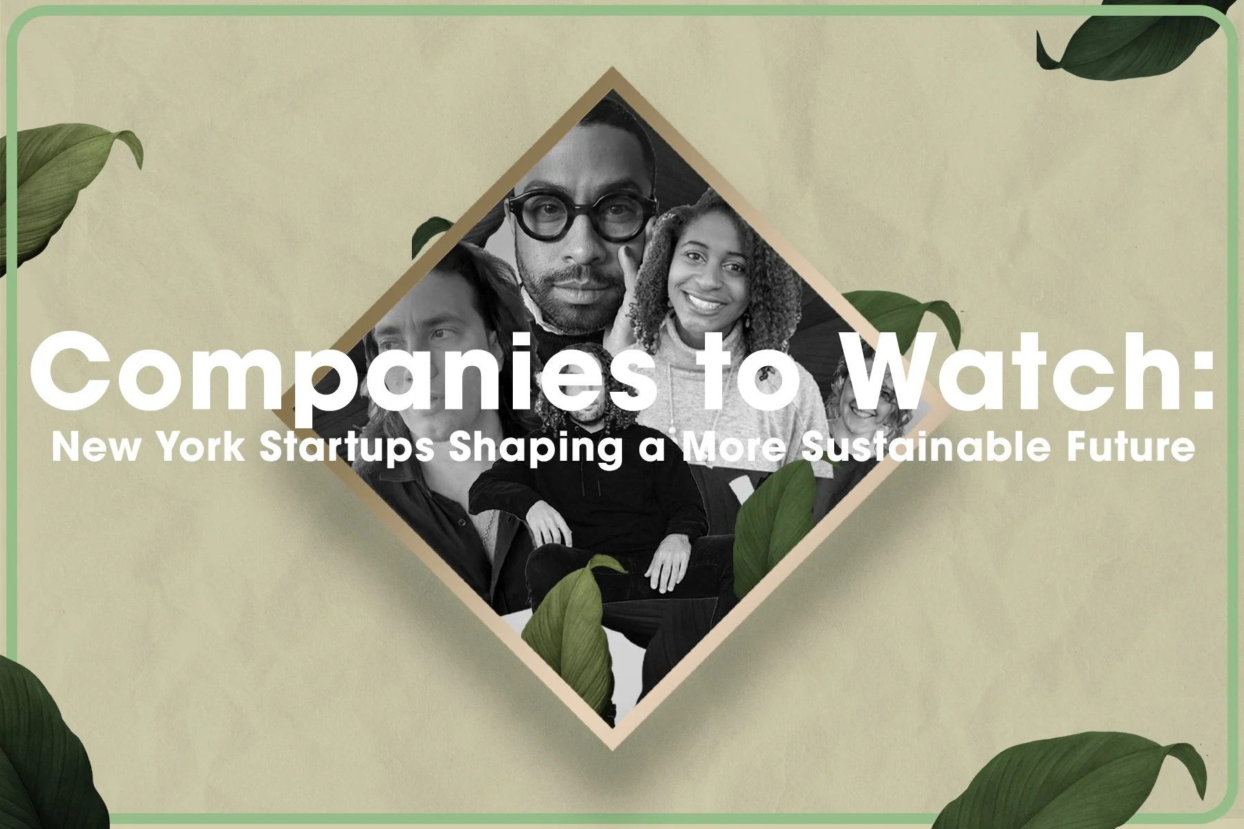 Companies to Watch: New York Startups Shaping a More Sustainable Future