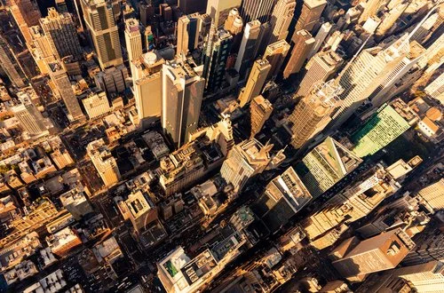 Five New York Nonprofits to Watch