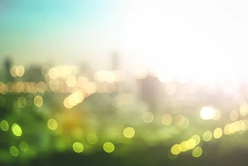 Five New York Sustainability Companies to Watch